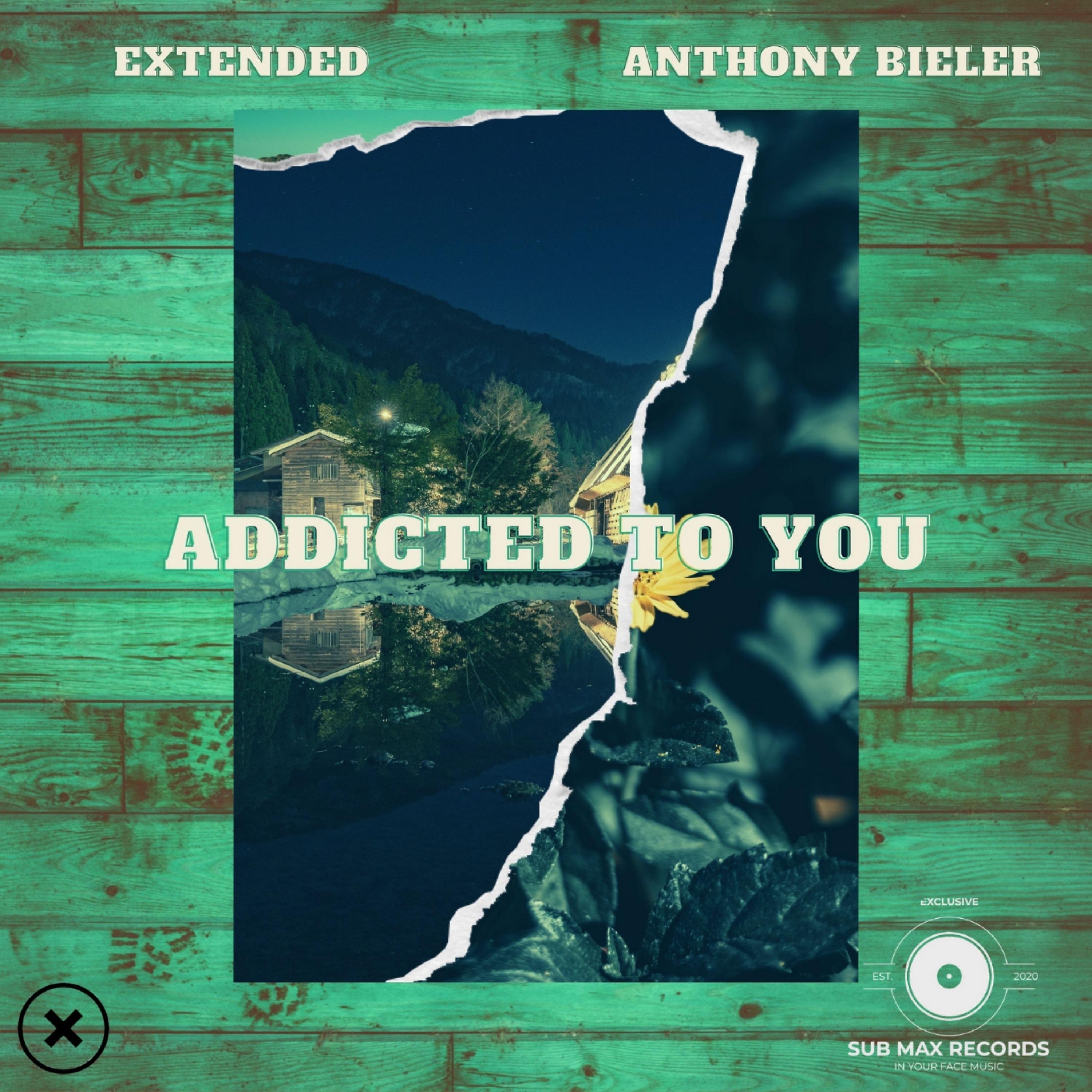 Постер альбома Addicted To You