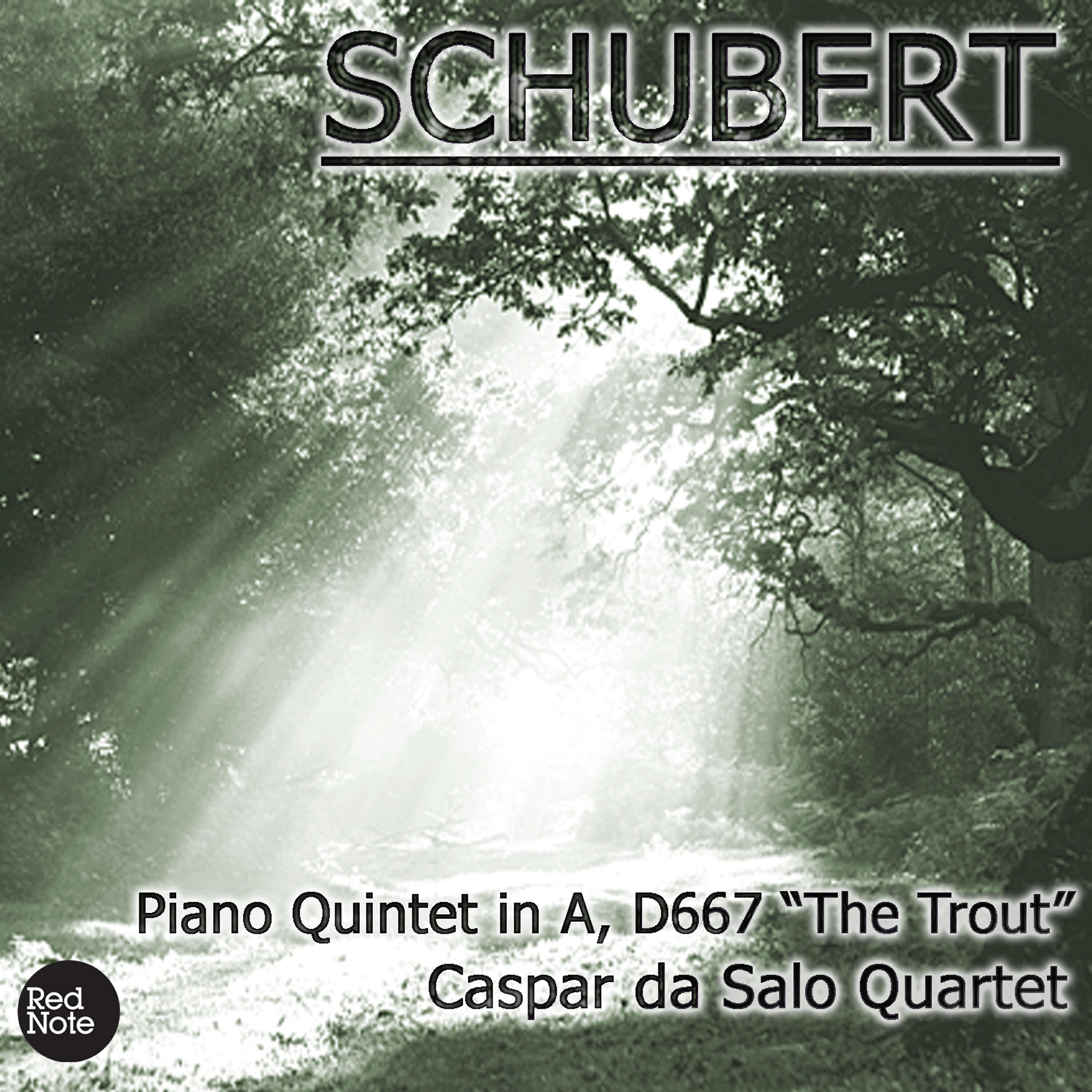 Caspar Da Salo Quartet - Piano Quintet 'The Trout' in A, D.667: II. Andante