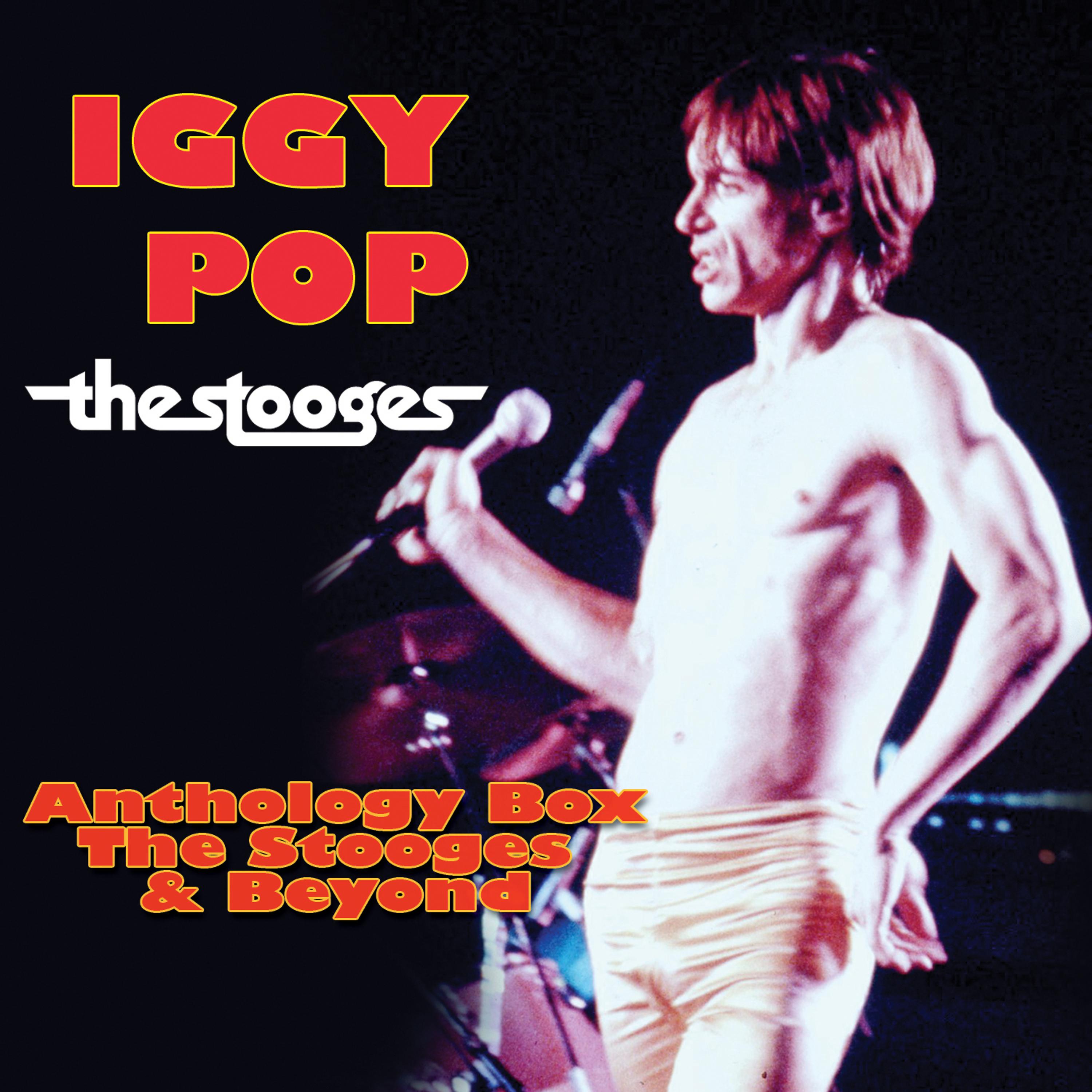 Постер альбома Anthology Box - The Stooges & Beyond