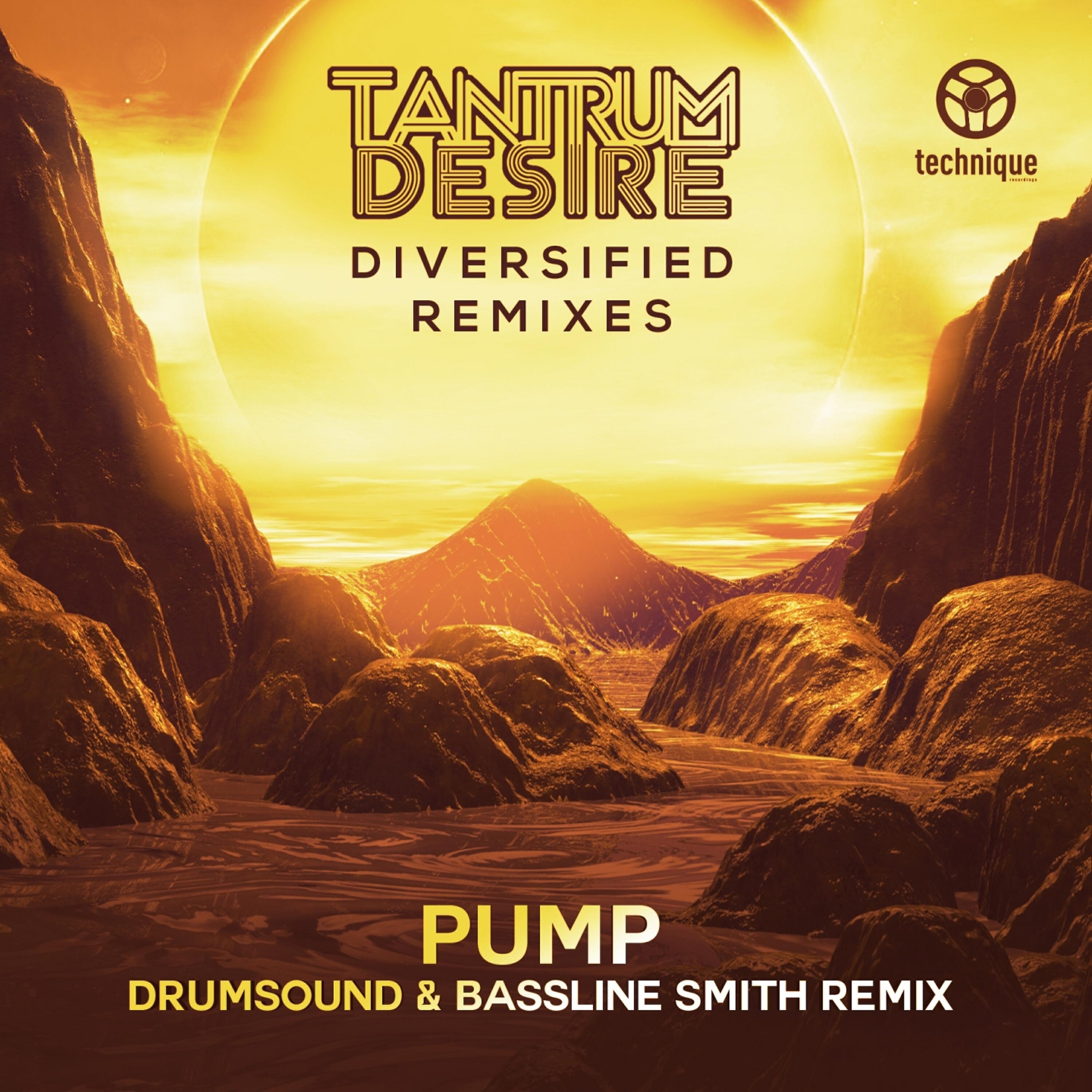 Tantrum Desire - Pump (Drumsound & Bassline Smith Remix)