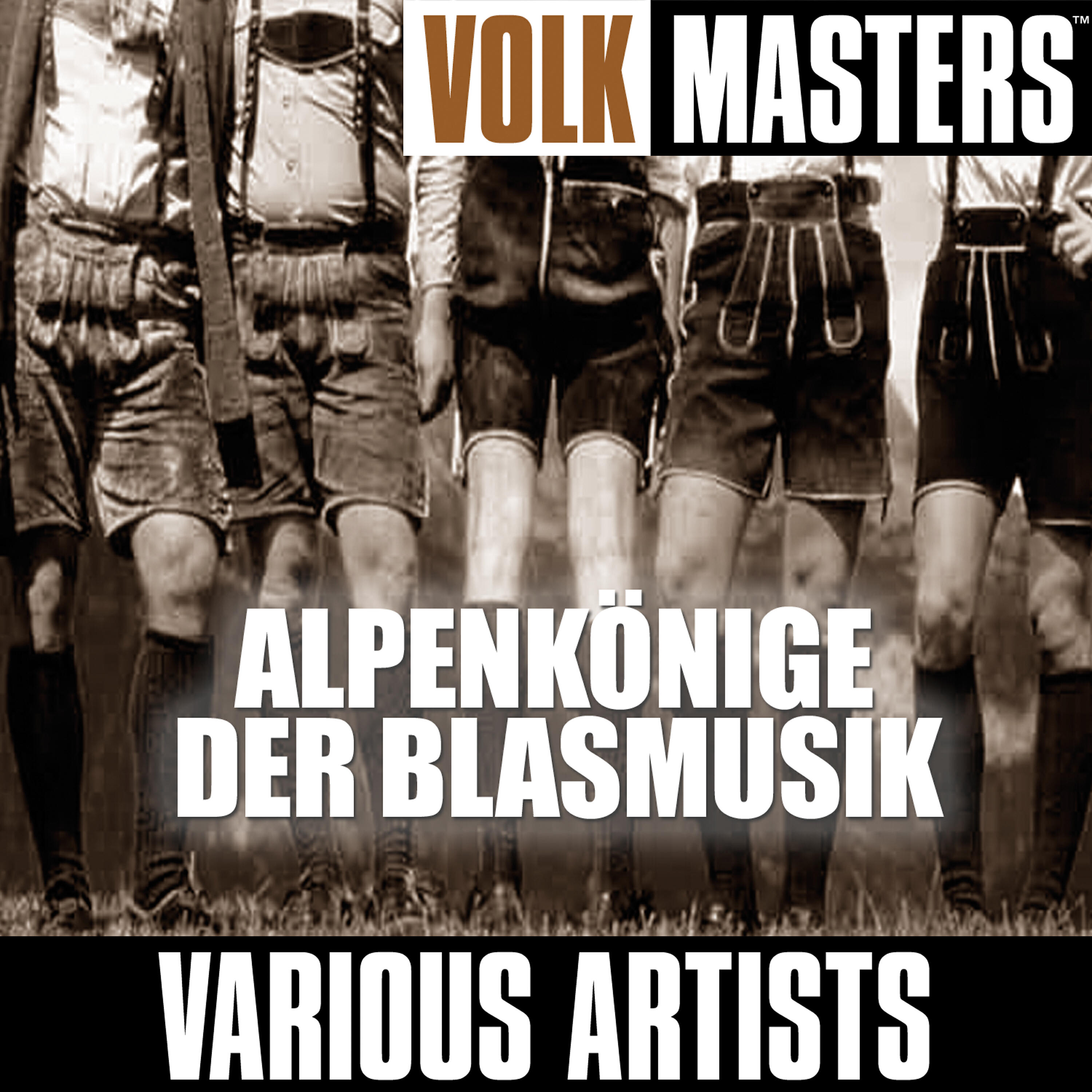 Die Chiemgauer Blasmusik - 'S Loisachtal *