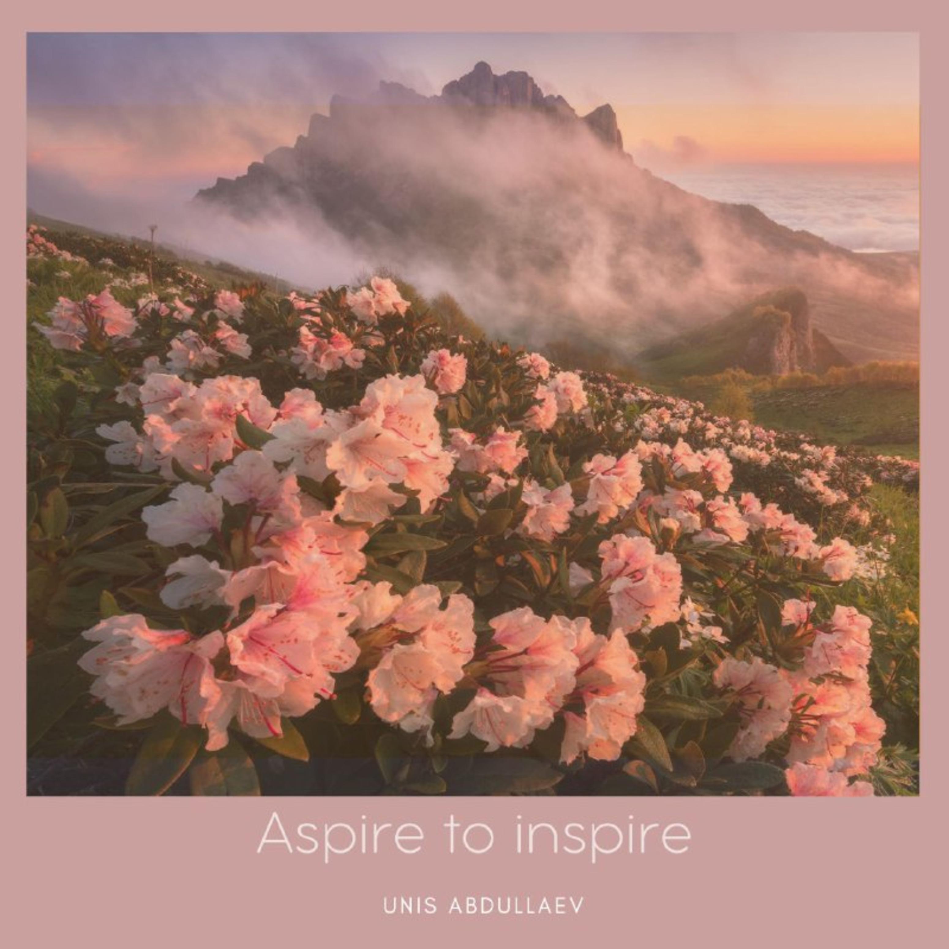 Постер альбома Aspire to Inspire