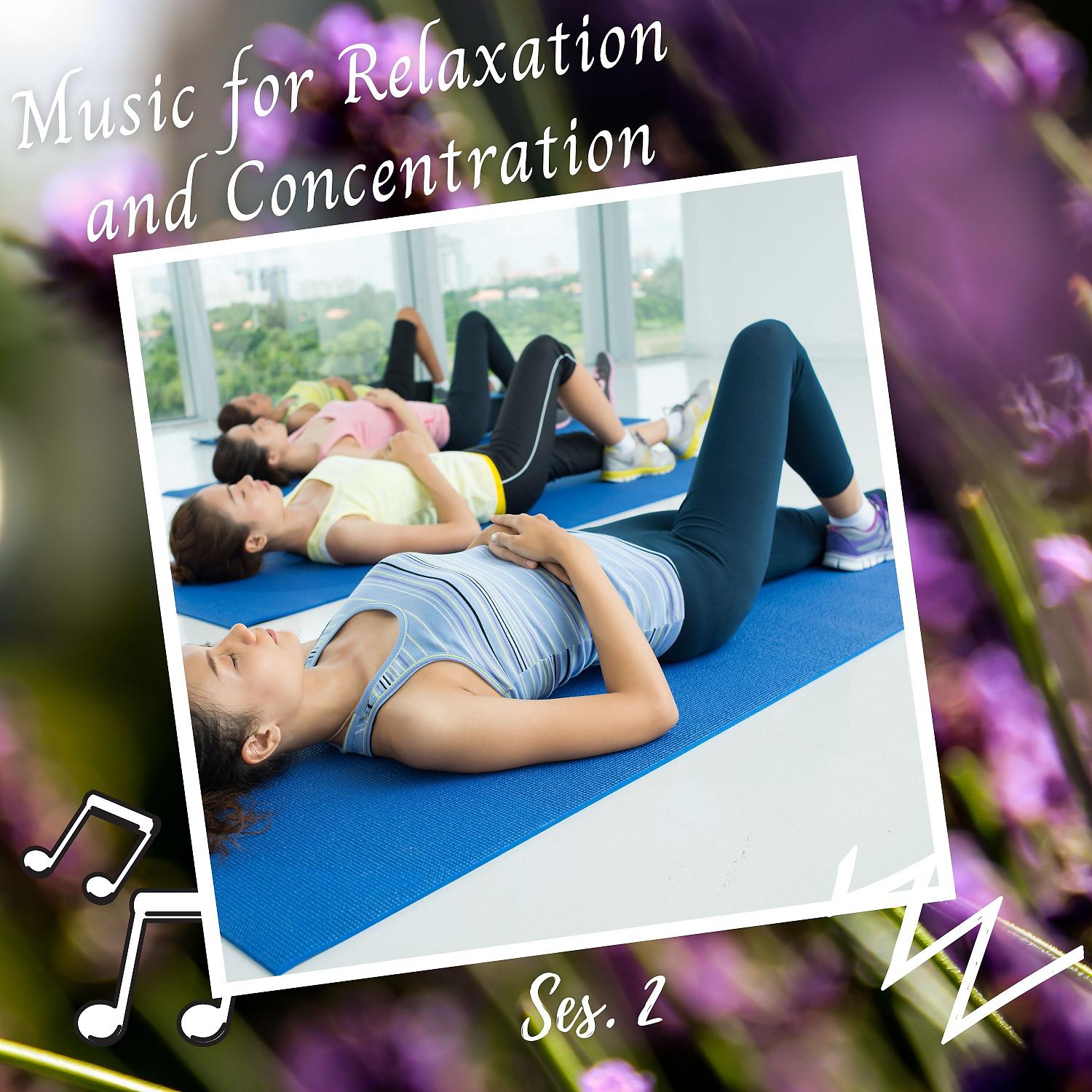 Постер альбома Music for Relaxation and Concentration Ses. 2