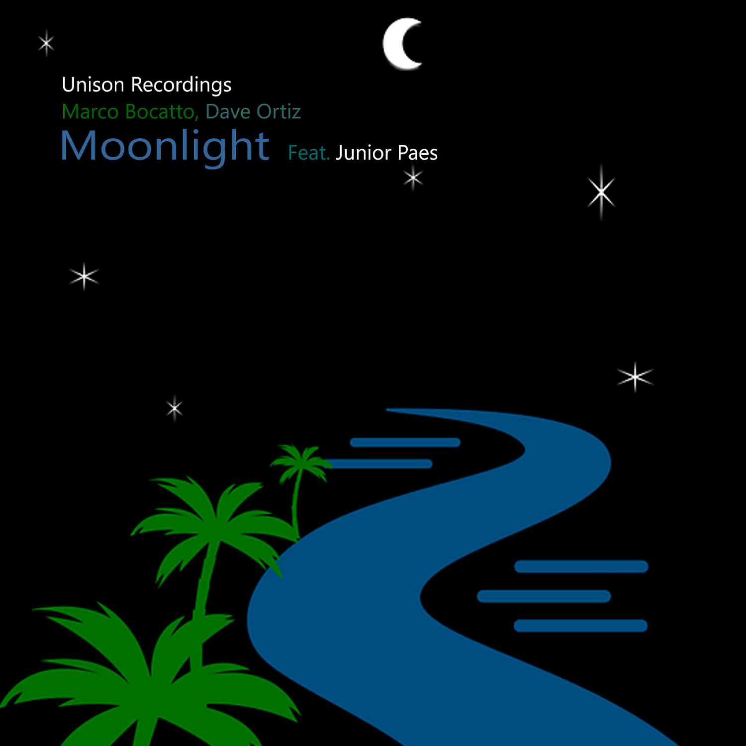 Постер альбома Moonlight (feat. Junior Paes)