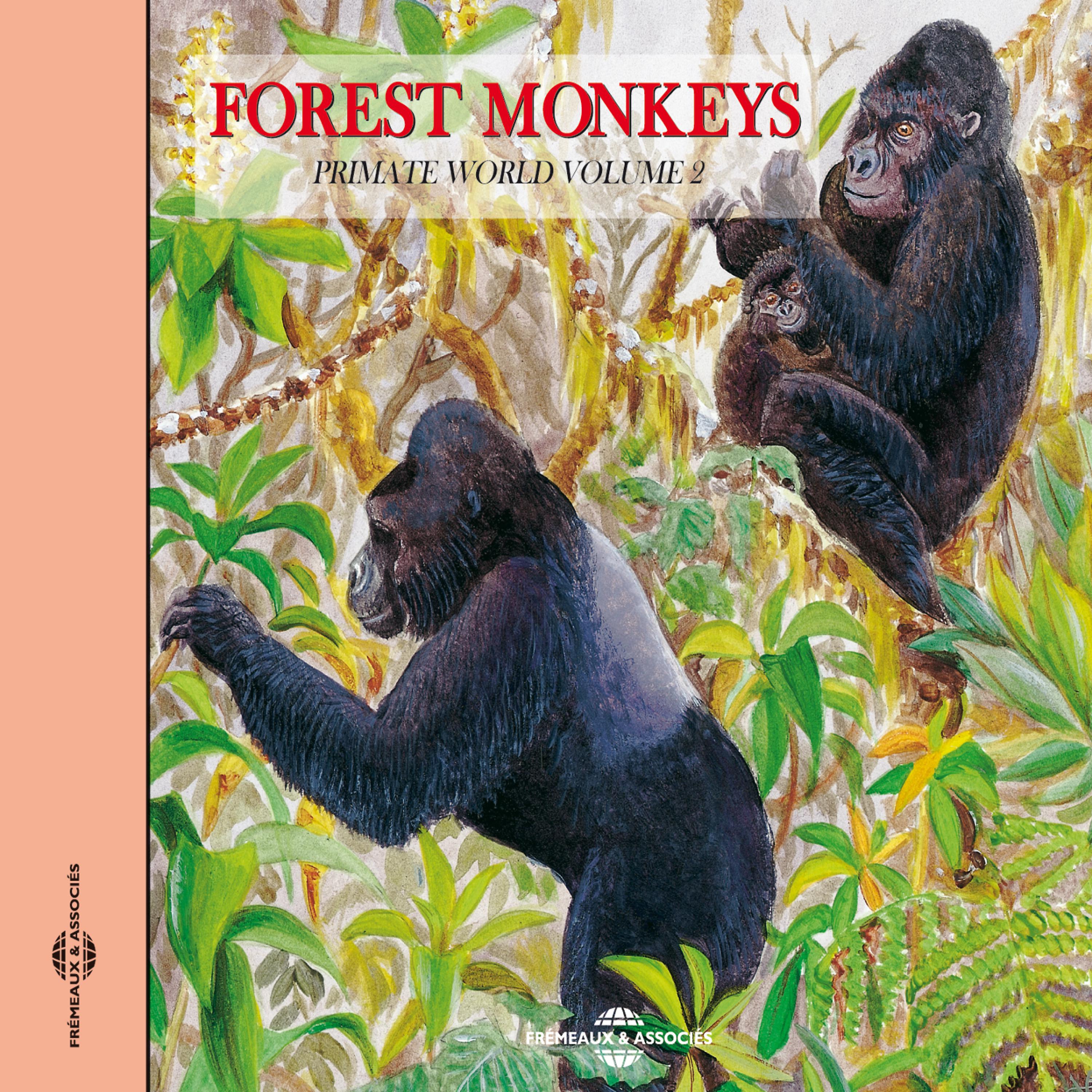 Постер альбома The Forest Monkeys, Vol.2