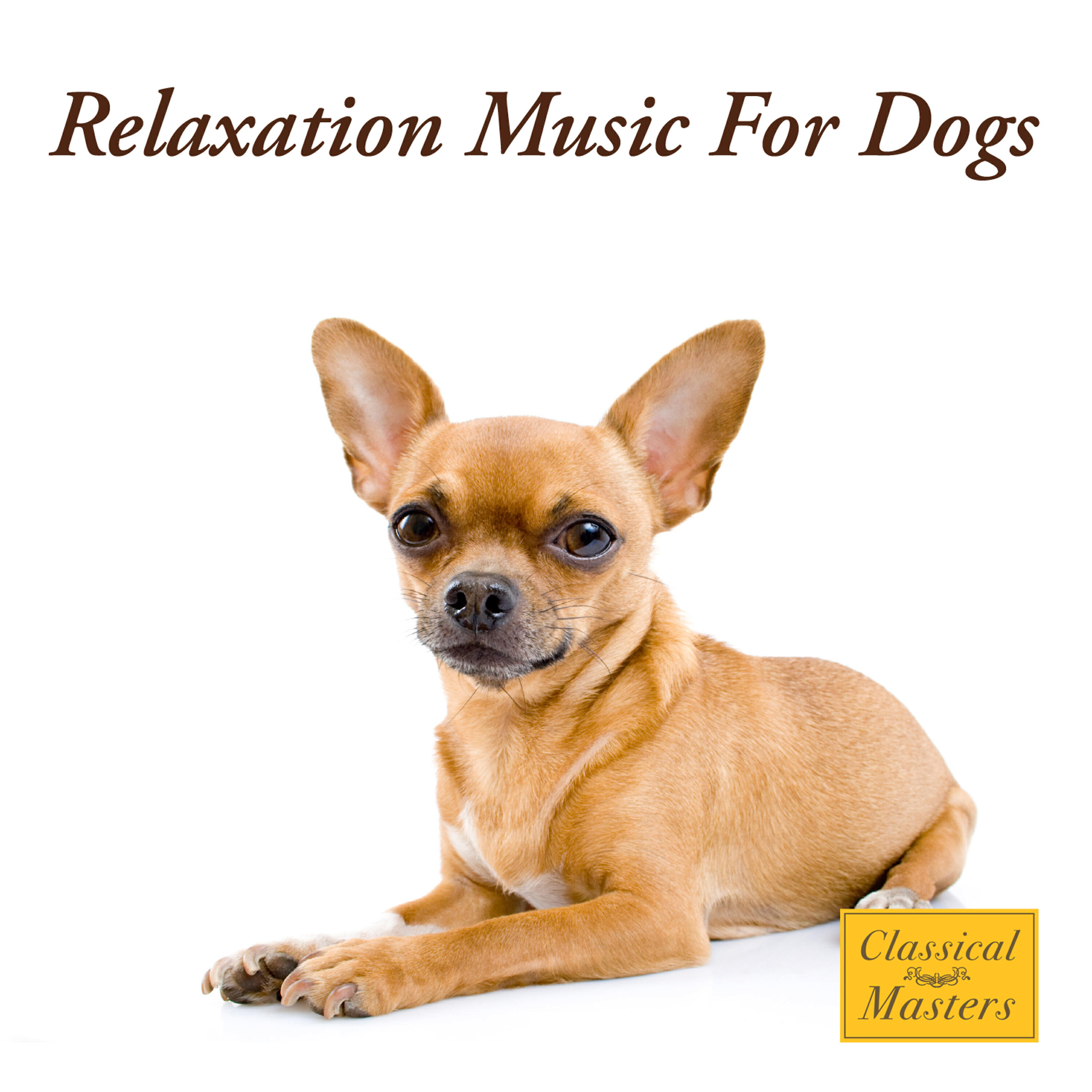 The Dog Whisperer Band - Small Dog, Big Heart
