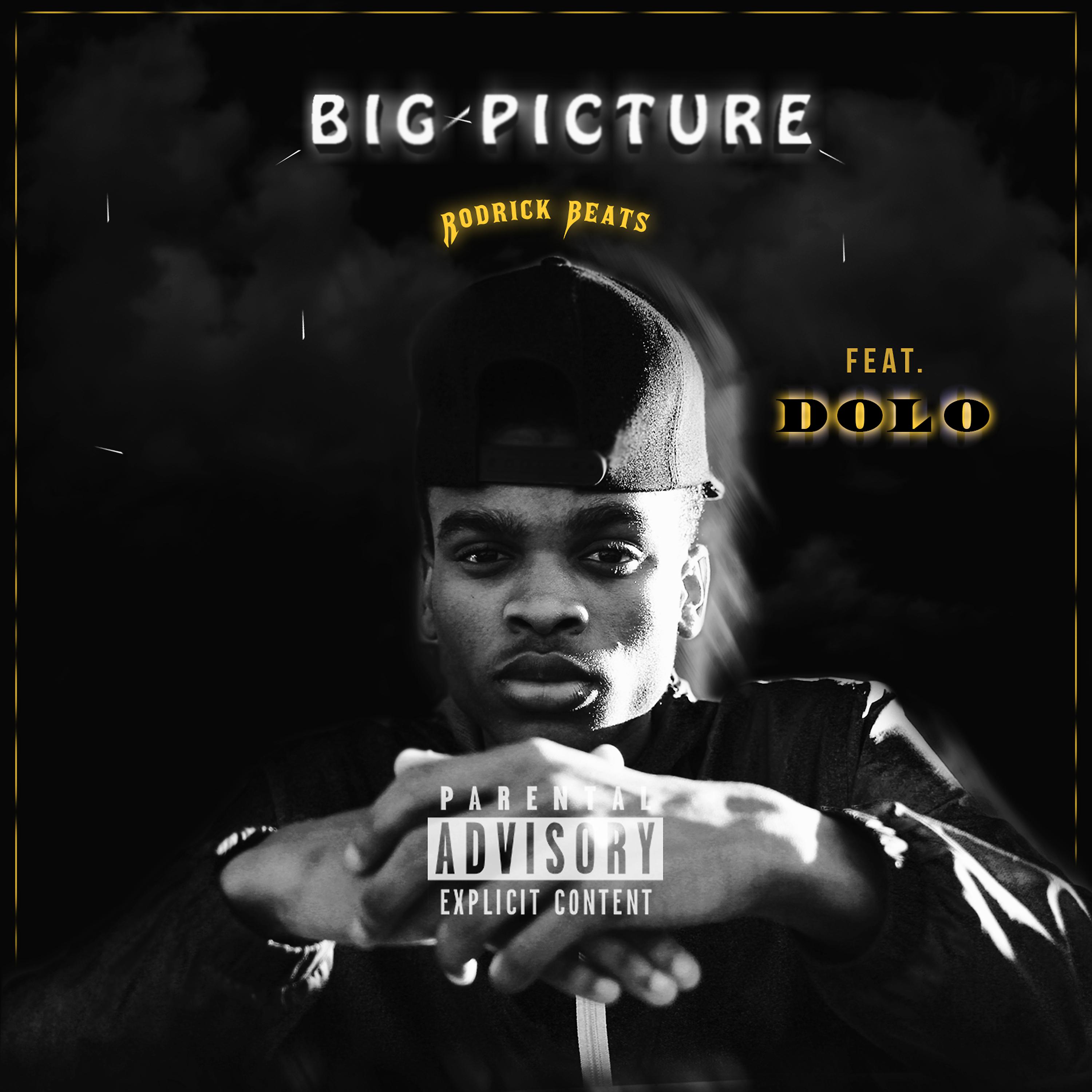 Постер альбома Big Picture (feat. Dolo)