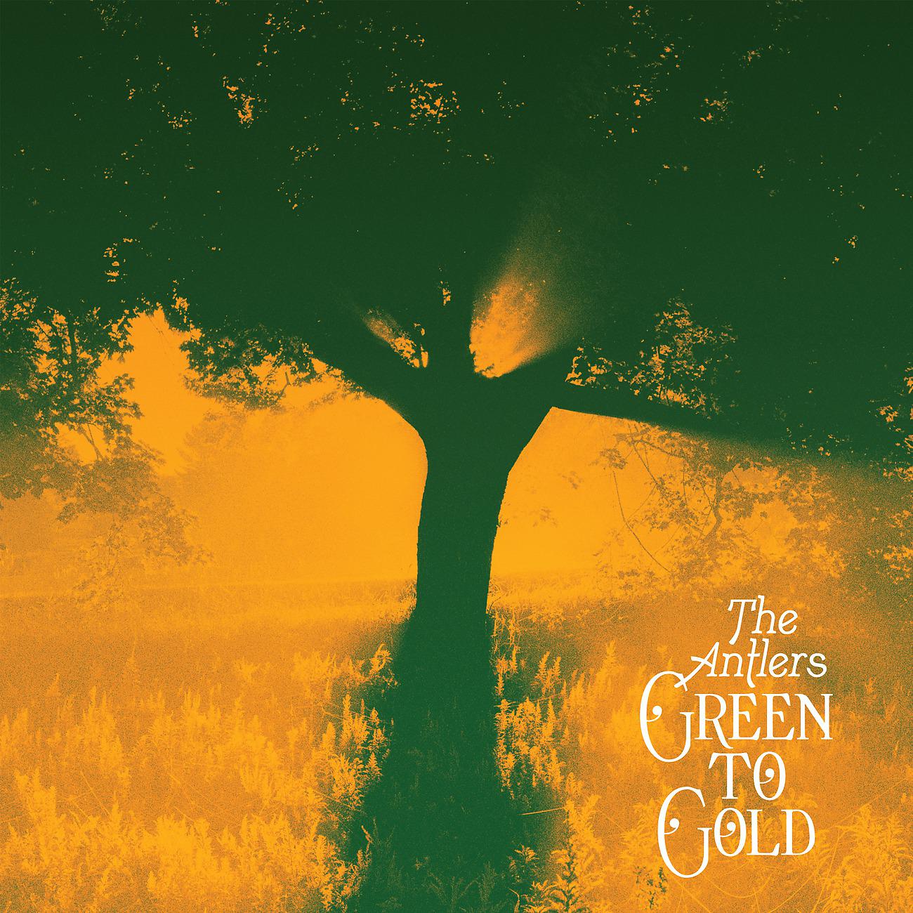 Постер альбома Green to Gold