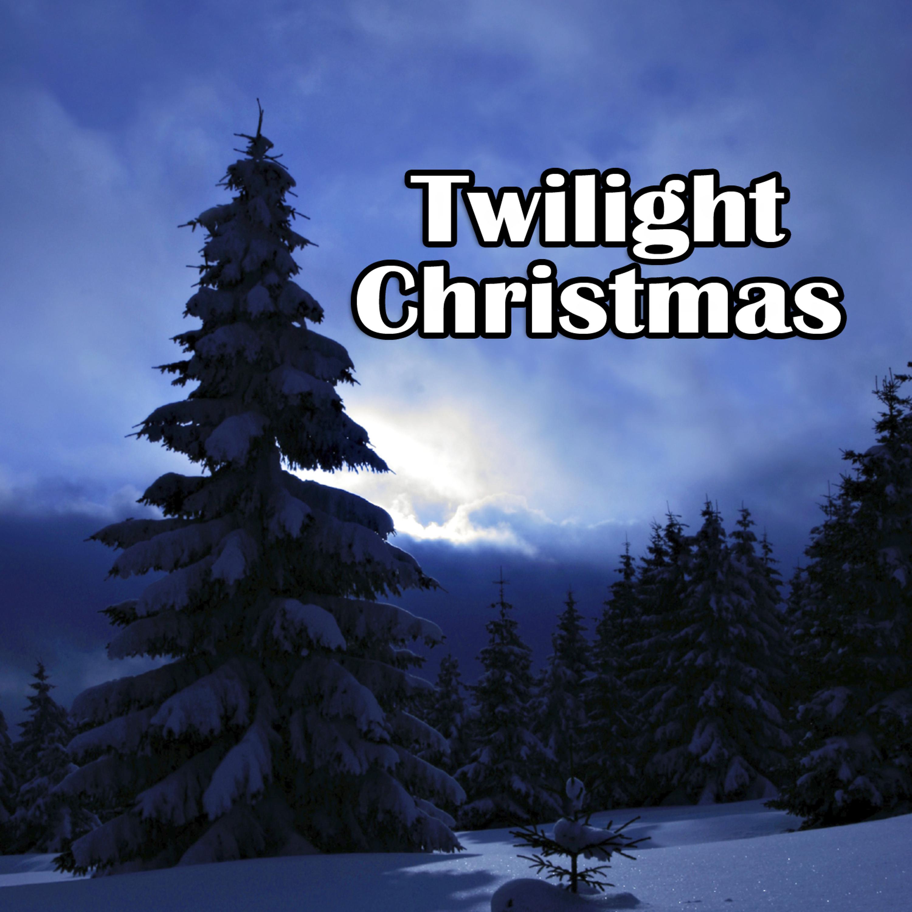Постер альбома Twilight Christmas