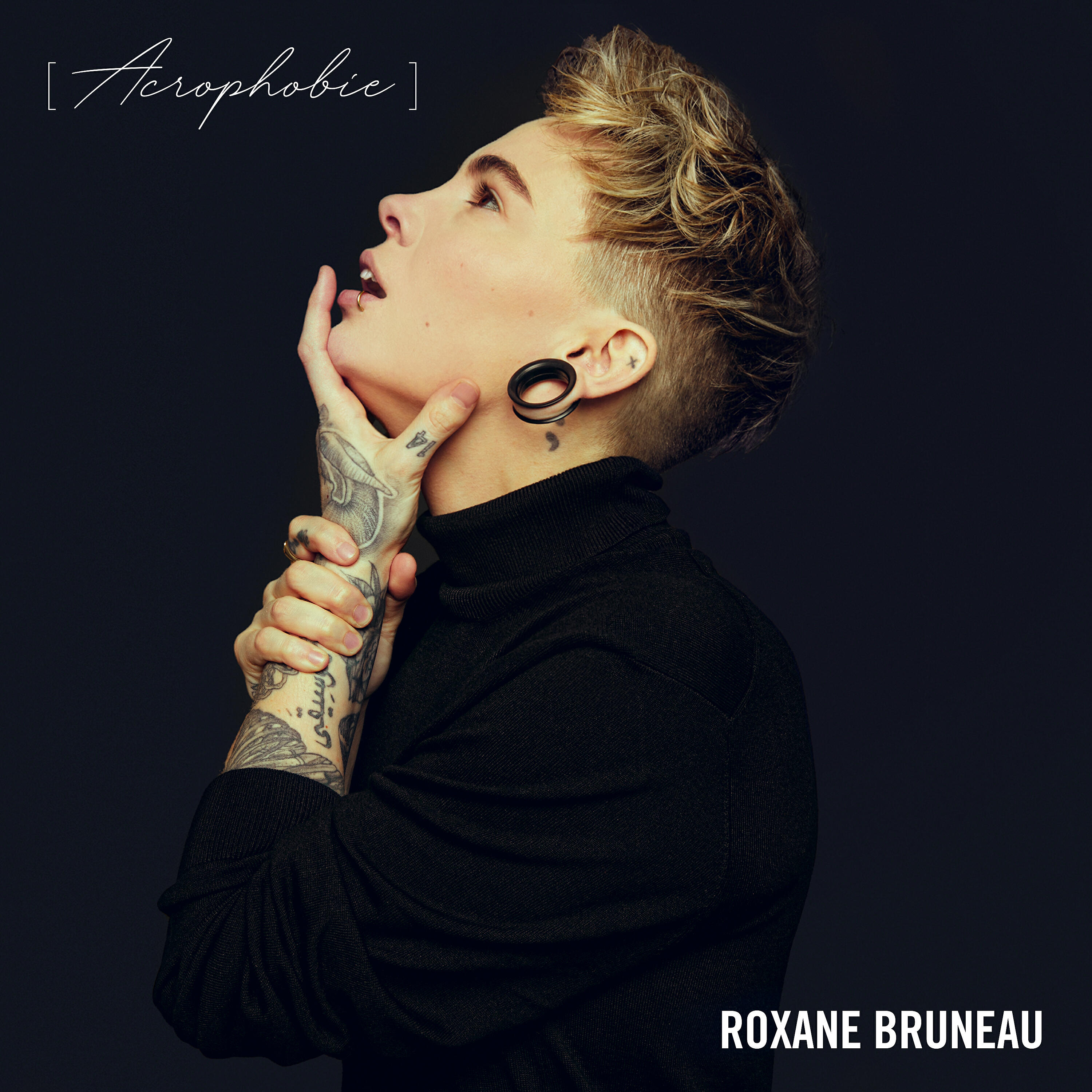 Roxane Bruneau ноты все песни в mp3