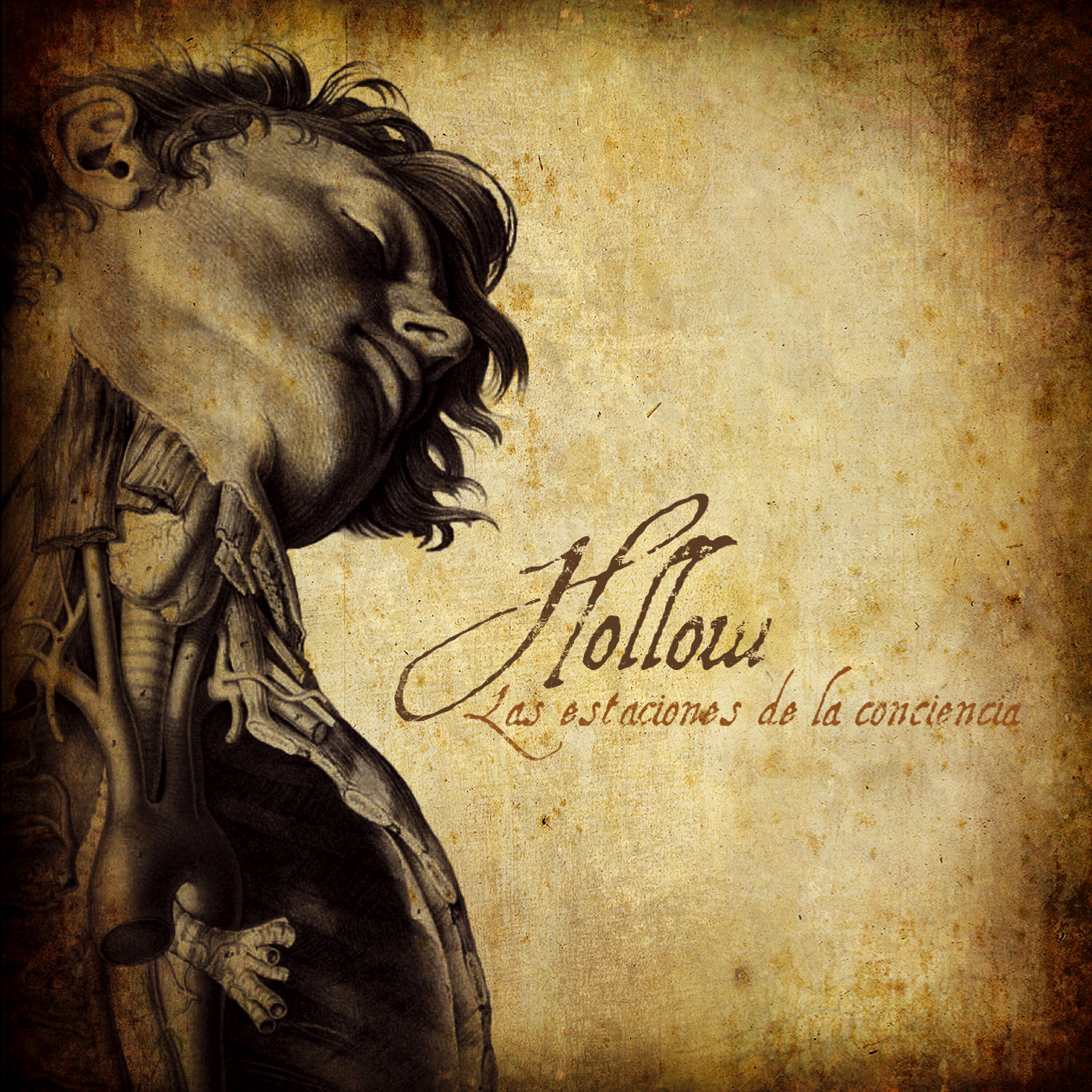 Hollow - Las Manos Del Azar