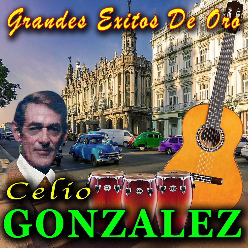 Постер альбома Grandes Exitos De Oro