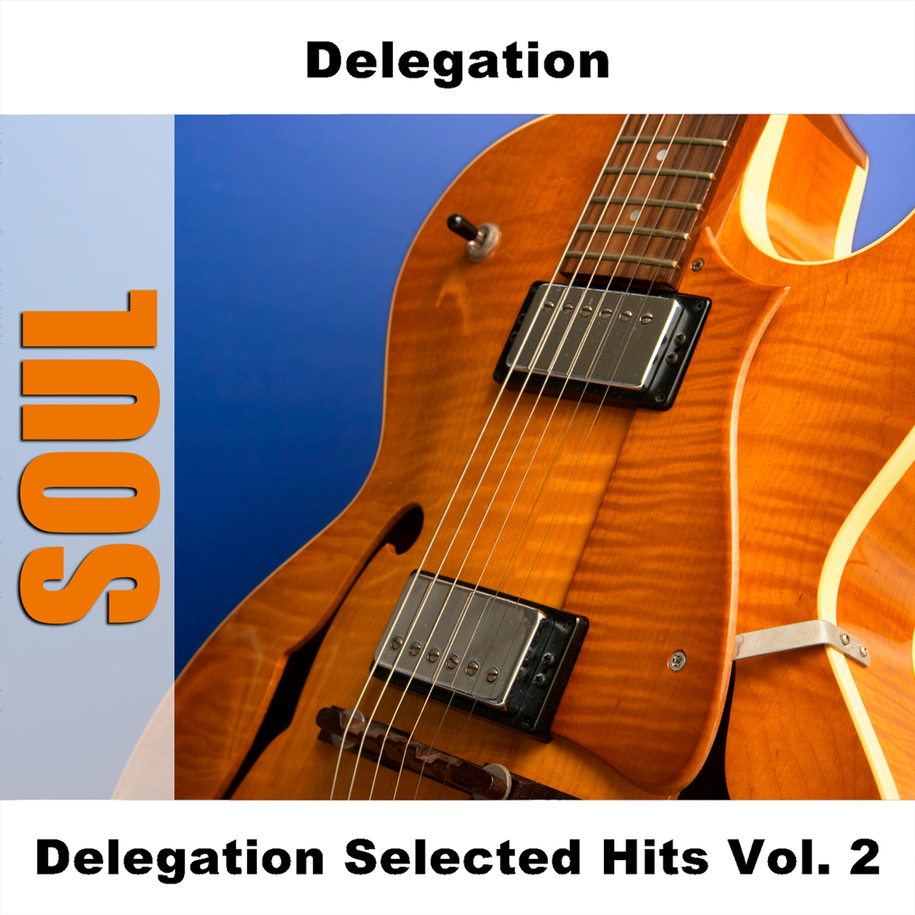 Постер альбома Delegation Selected Hits Vol. 2