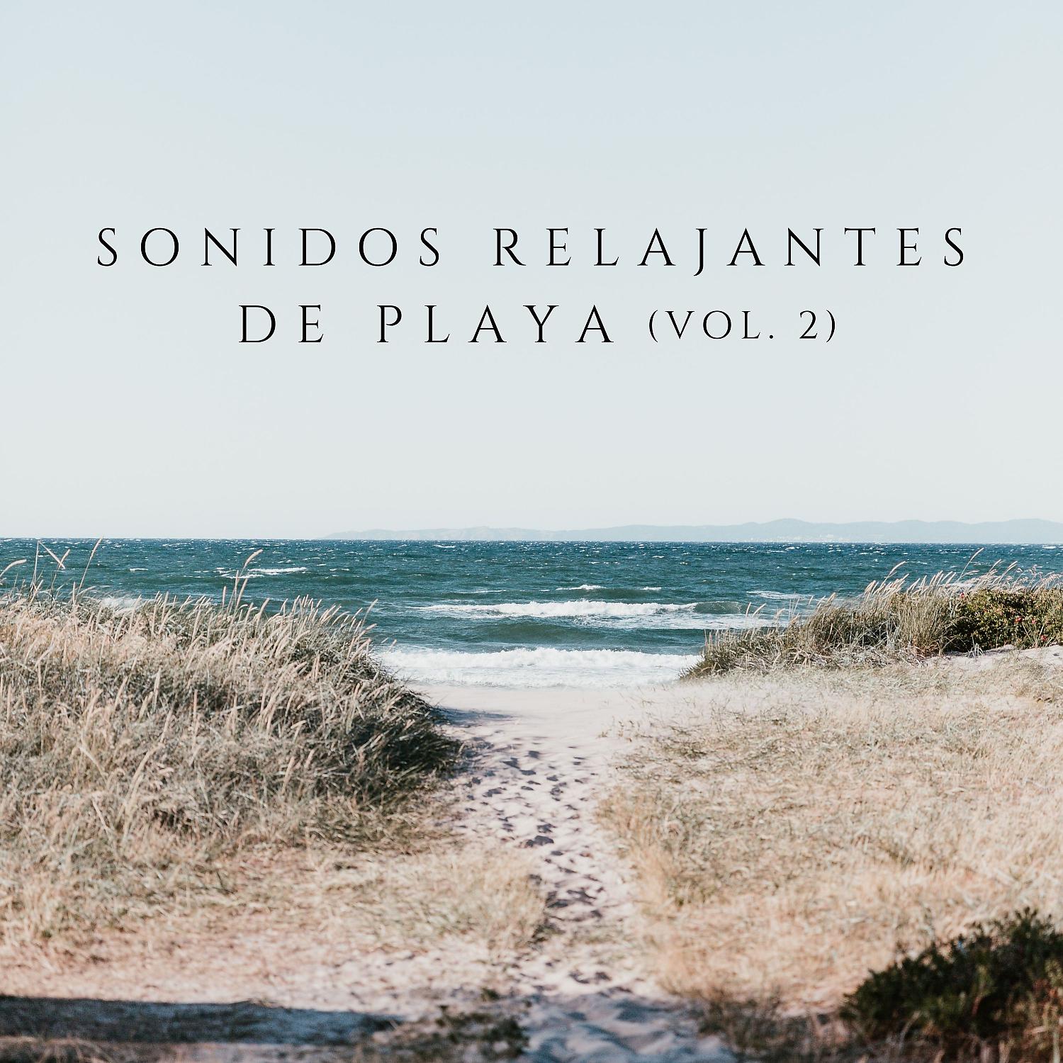 Постер альбома Sonidos Relajantes De Playa Vol .2