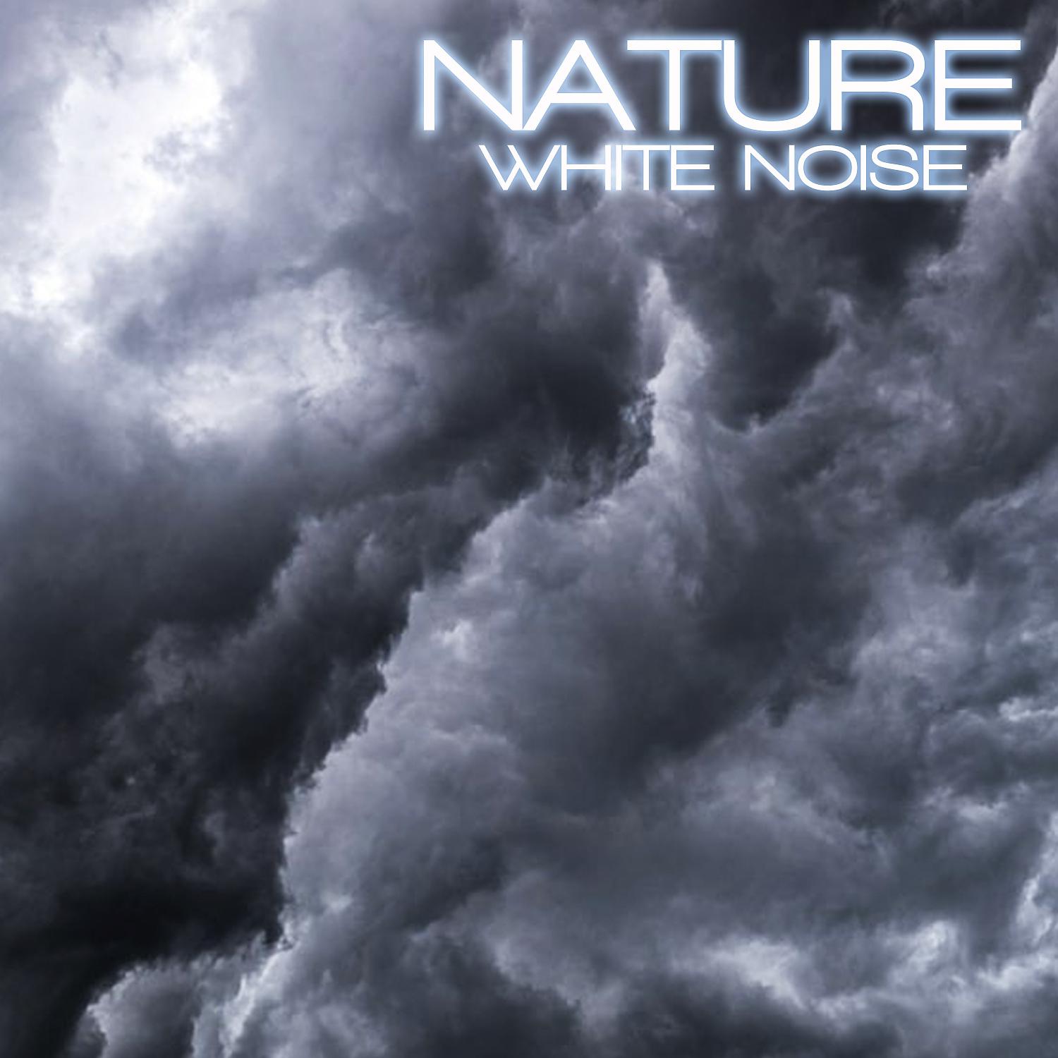Постер альбома Nature White Noise