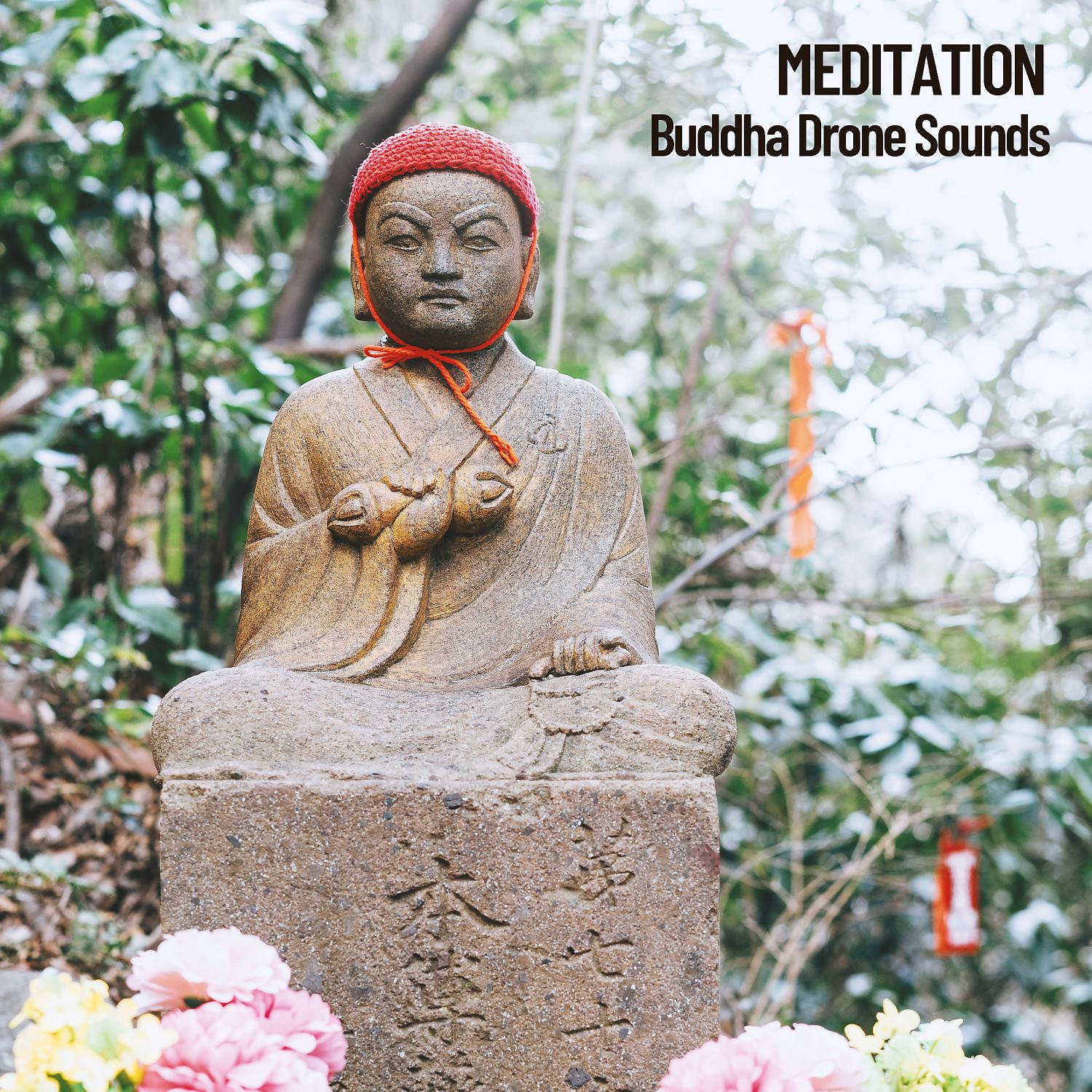 Постер альбома Meditation: Buddha Drone Sounds, Deep Sound Meditation