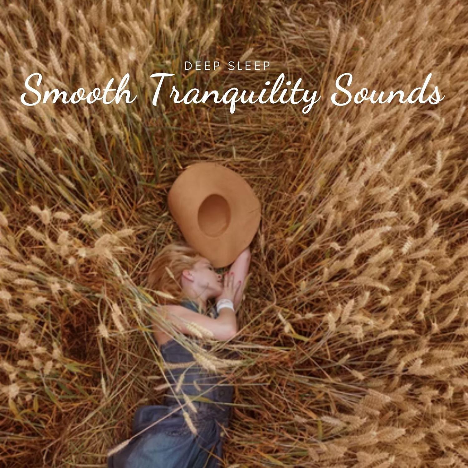 Постер альбома Deep Sleep: Smooth Tranquility Sounds