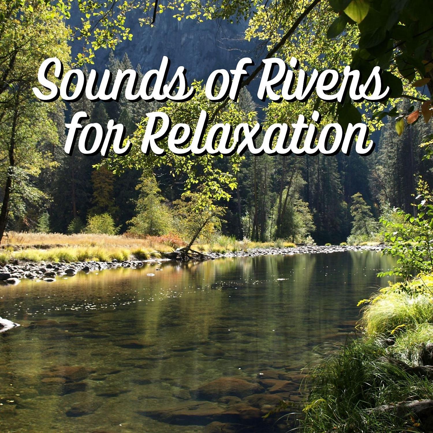 Постер альбома Sounds of Rivers for Relaxation - 1 Hour