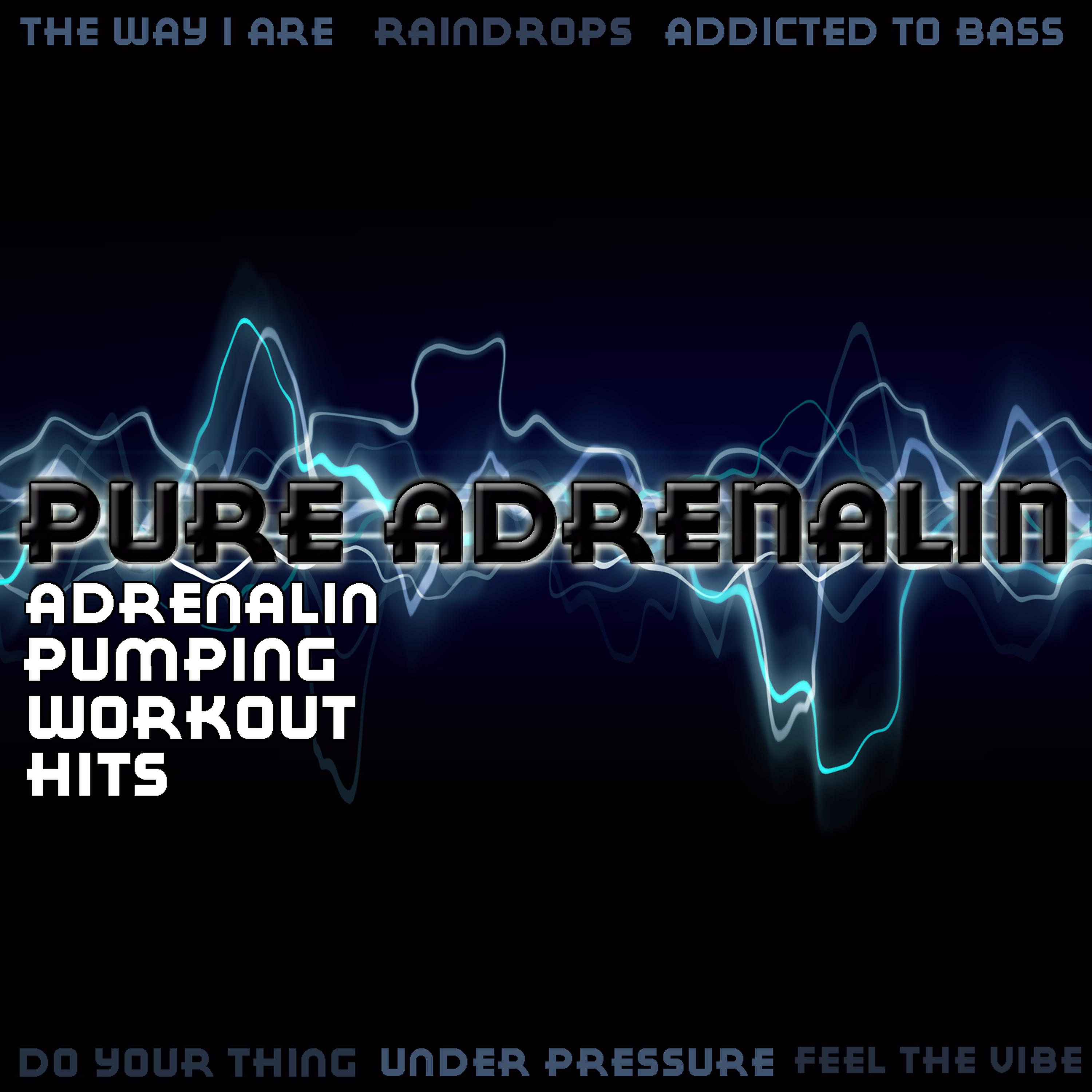 Постер альбома Adrenalin Pumping Workout Hits