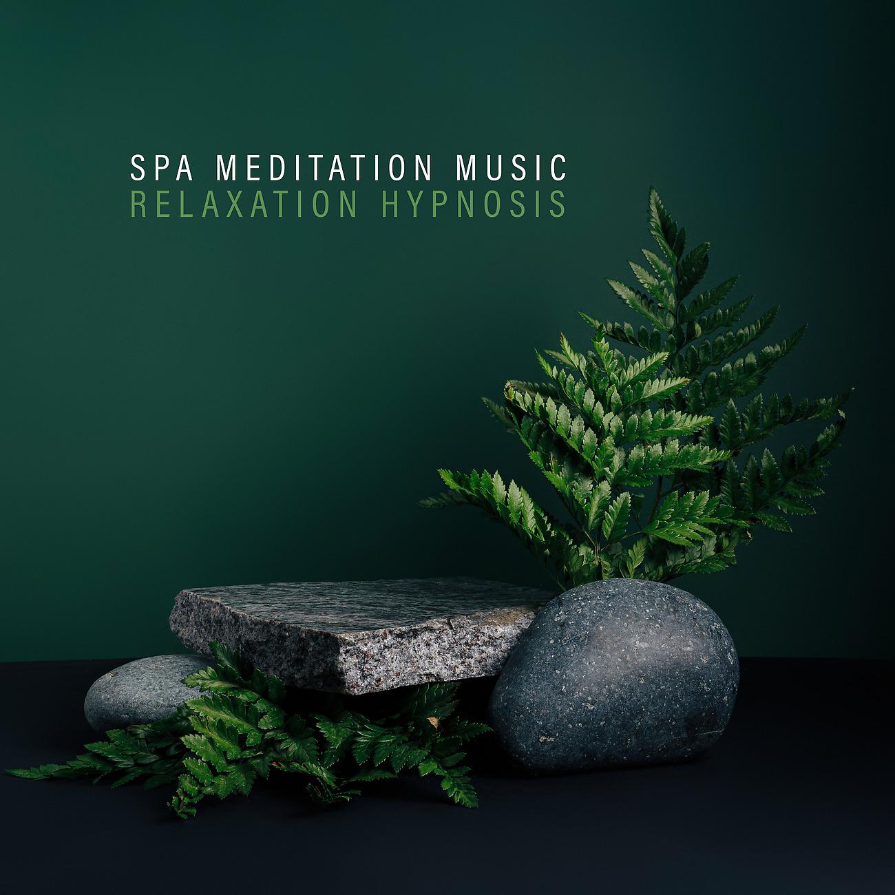 Постер альбома Spa Meditation Music