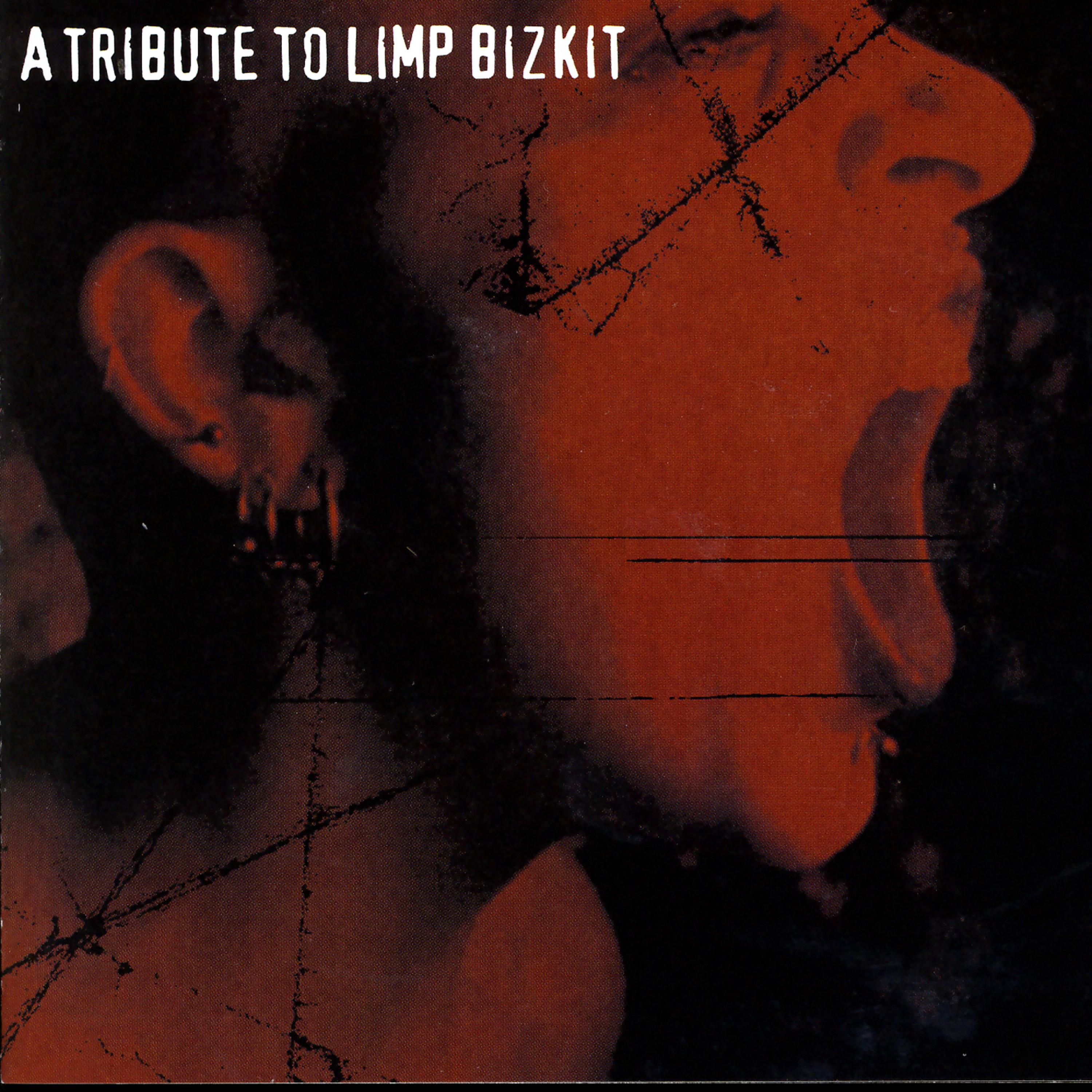 Постер альбома A Tribute To Limp Bizkit