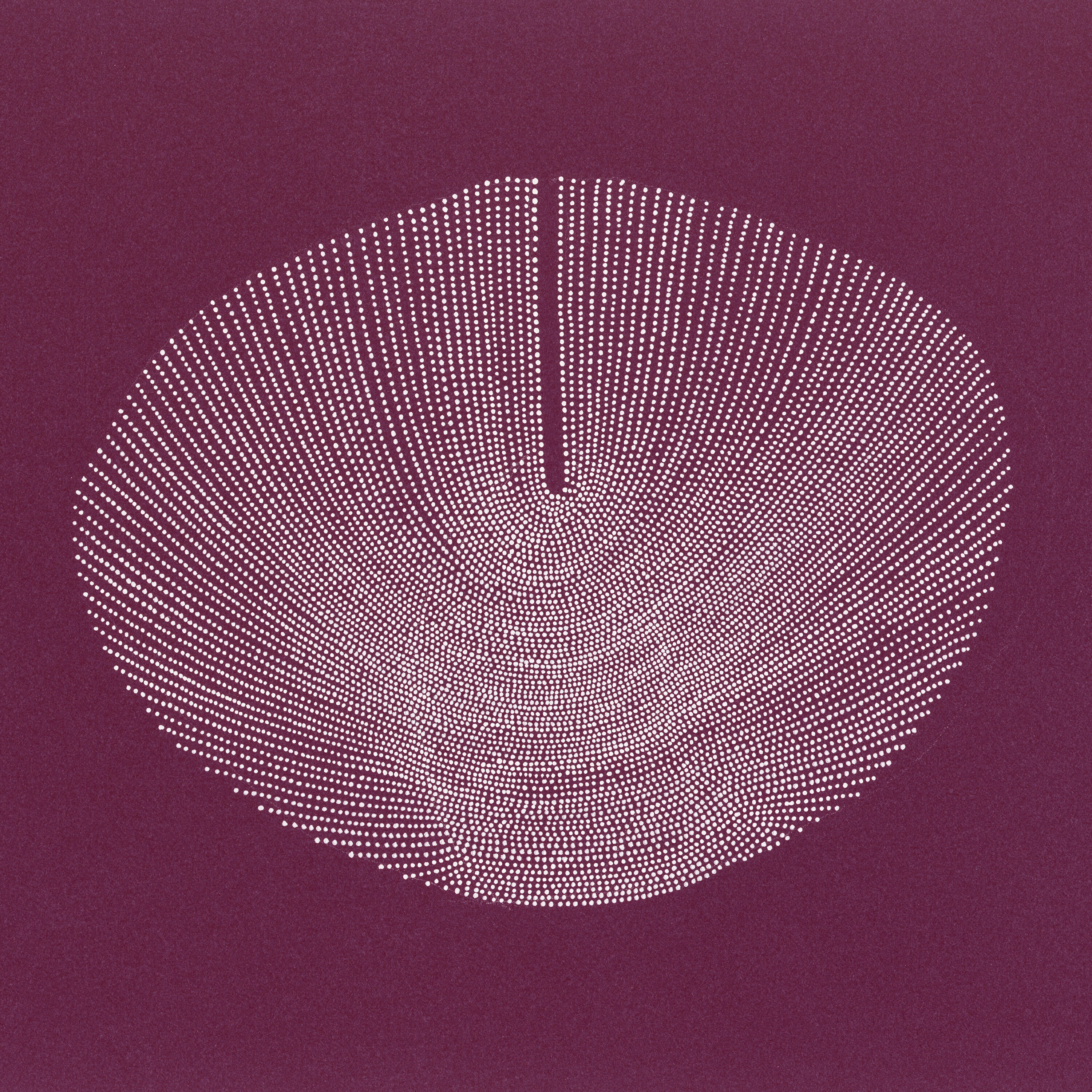 Barry Hudson-Taylor все песни в mp3