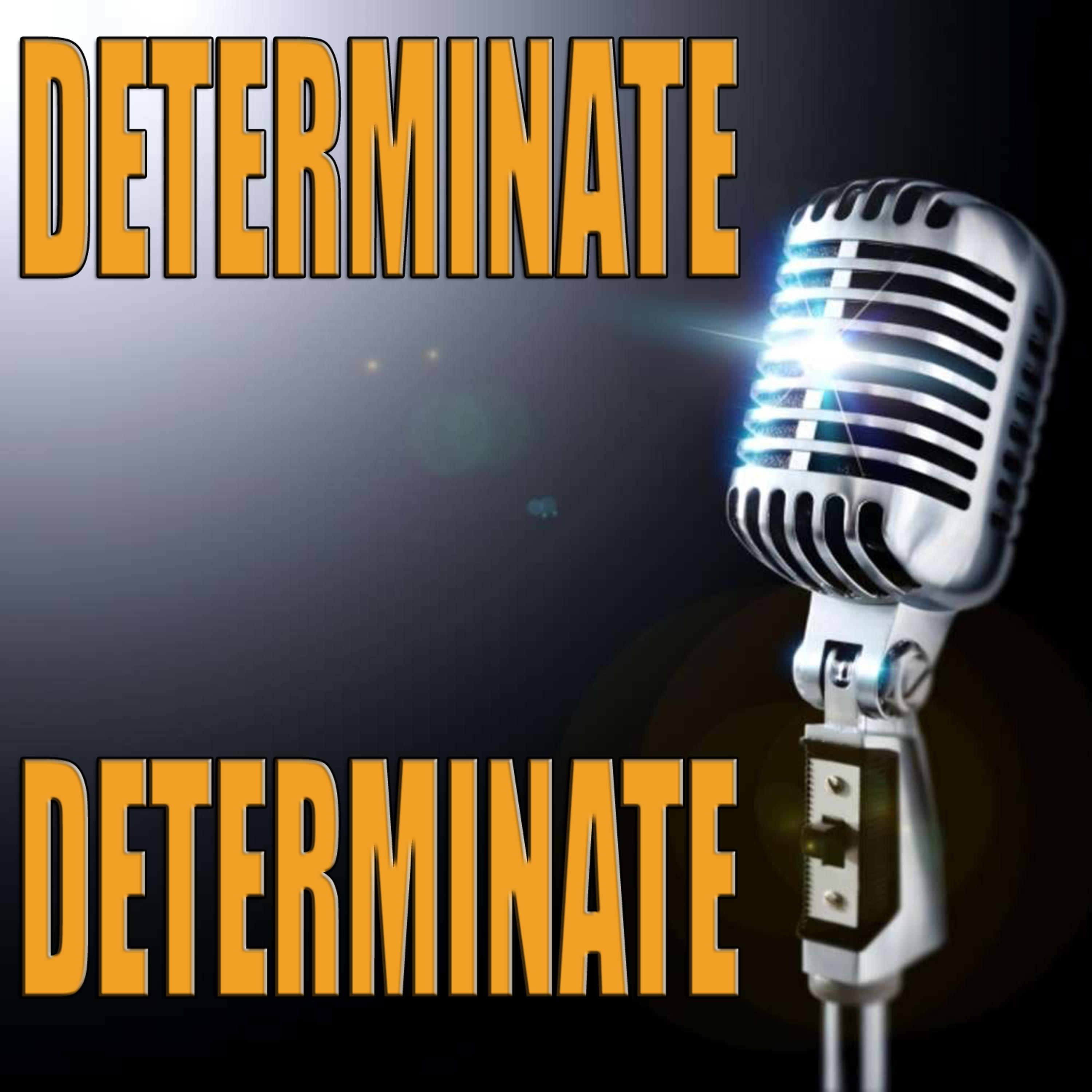 Постер альбома Determinate (Karaoke)