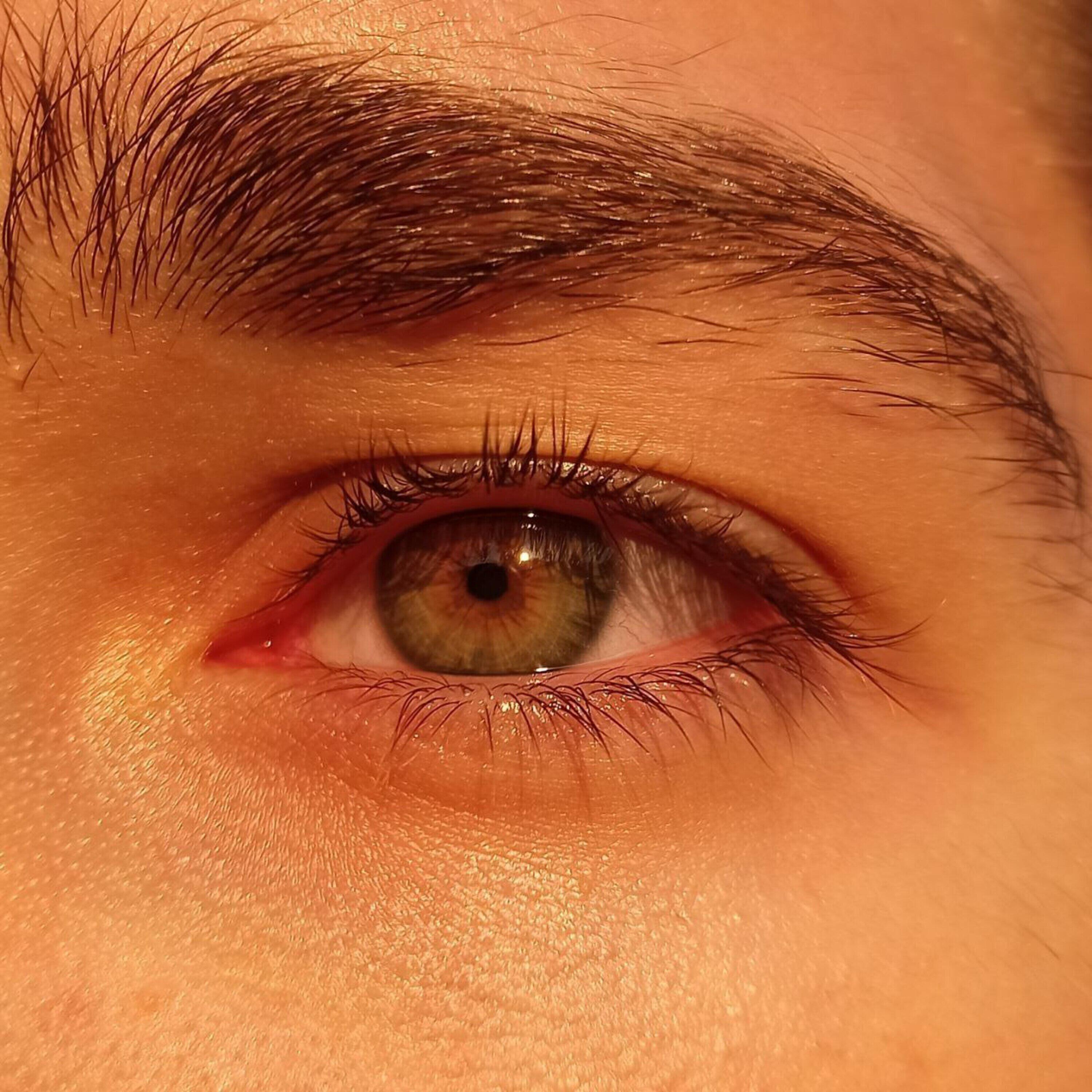 Morto Den все песни в mp3