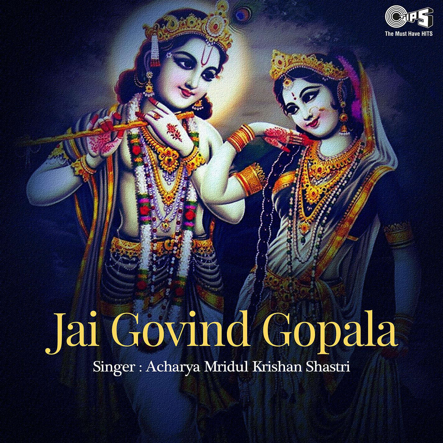 Постер альбома Jai Govind Gopala (Krishna Bhajan)