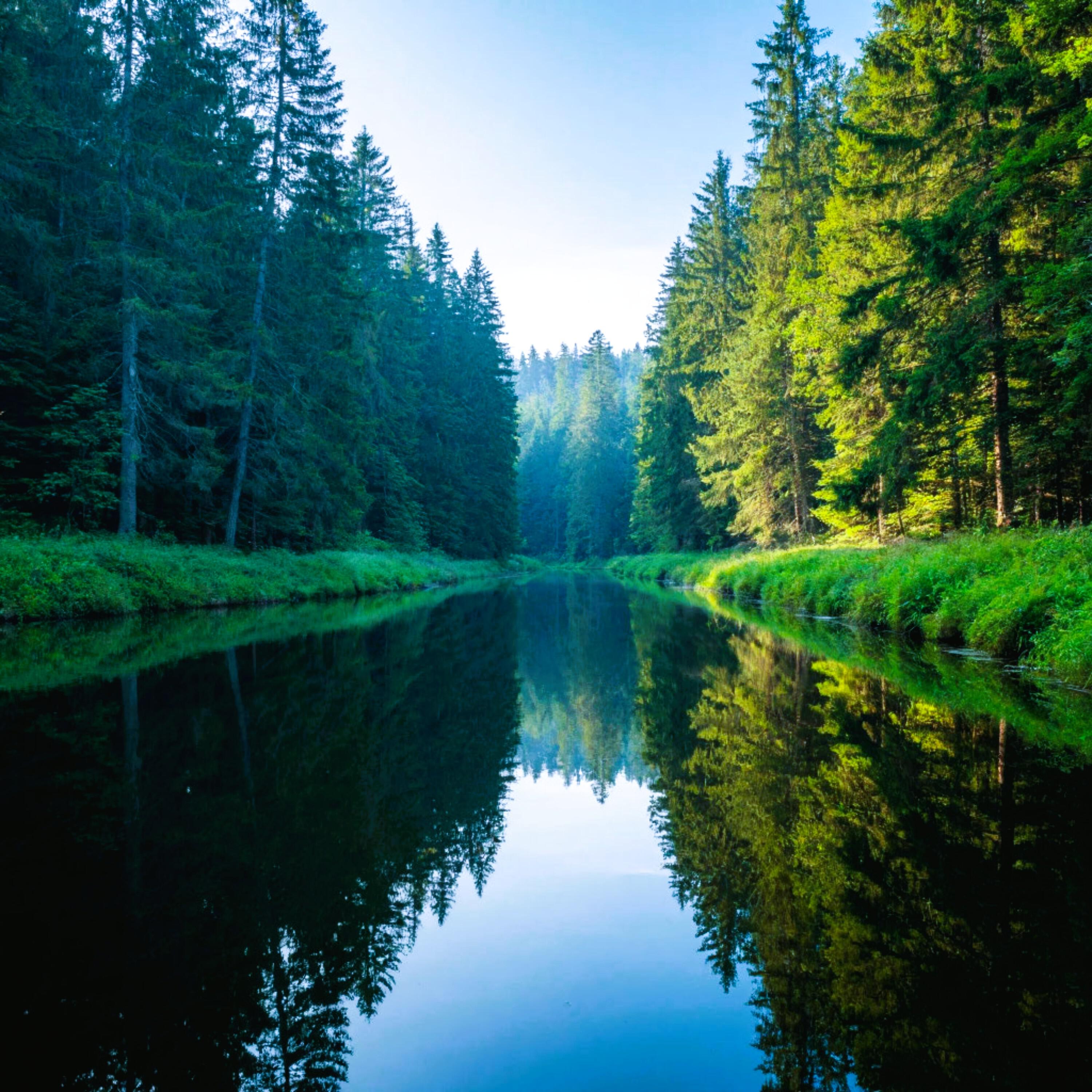 РЕЛАКС все песни в mp3