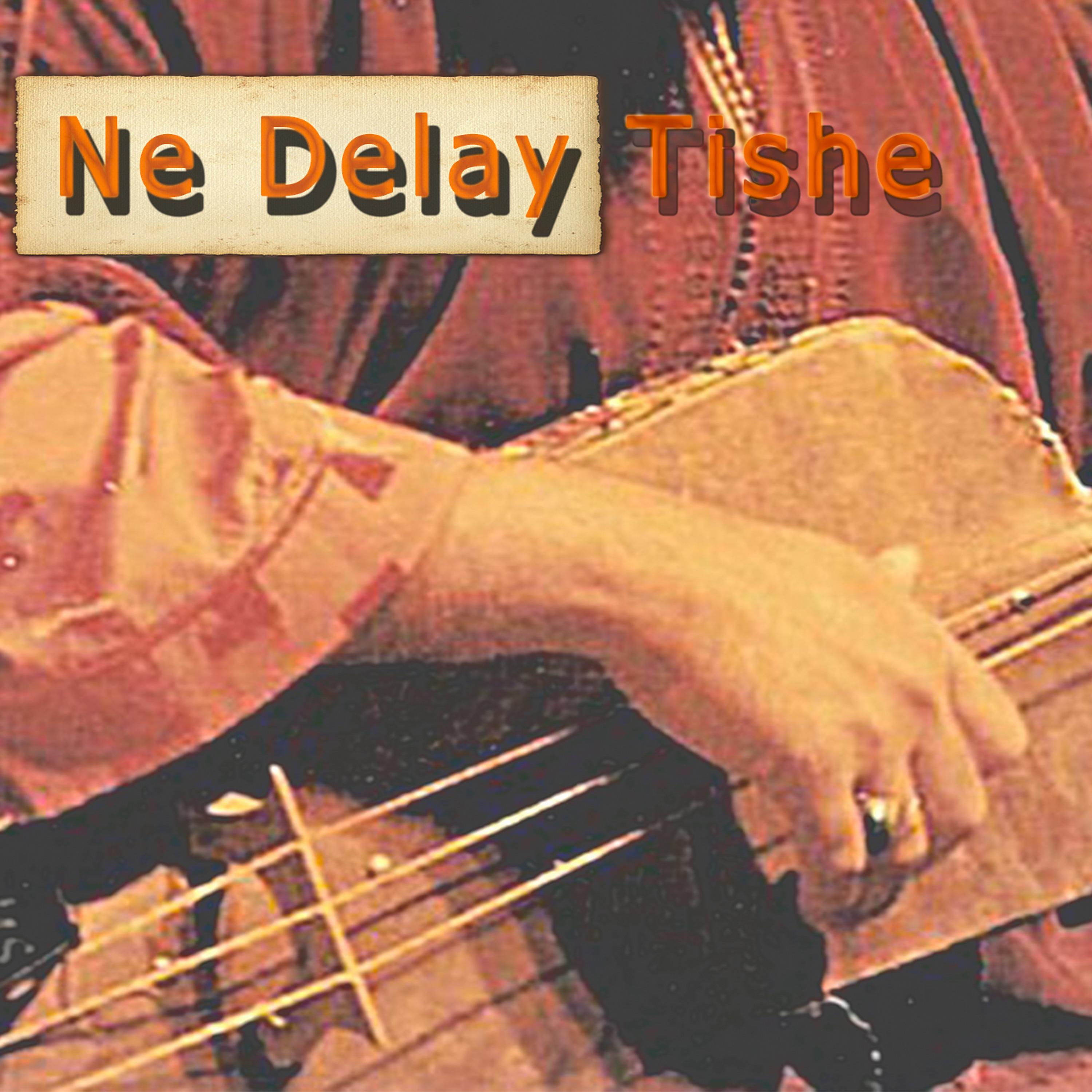 Постер альбома Ne Delay Tishe