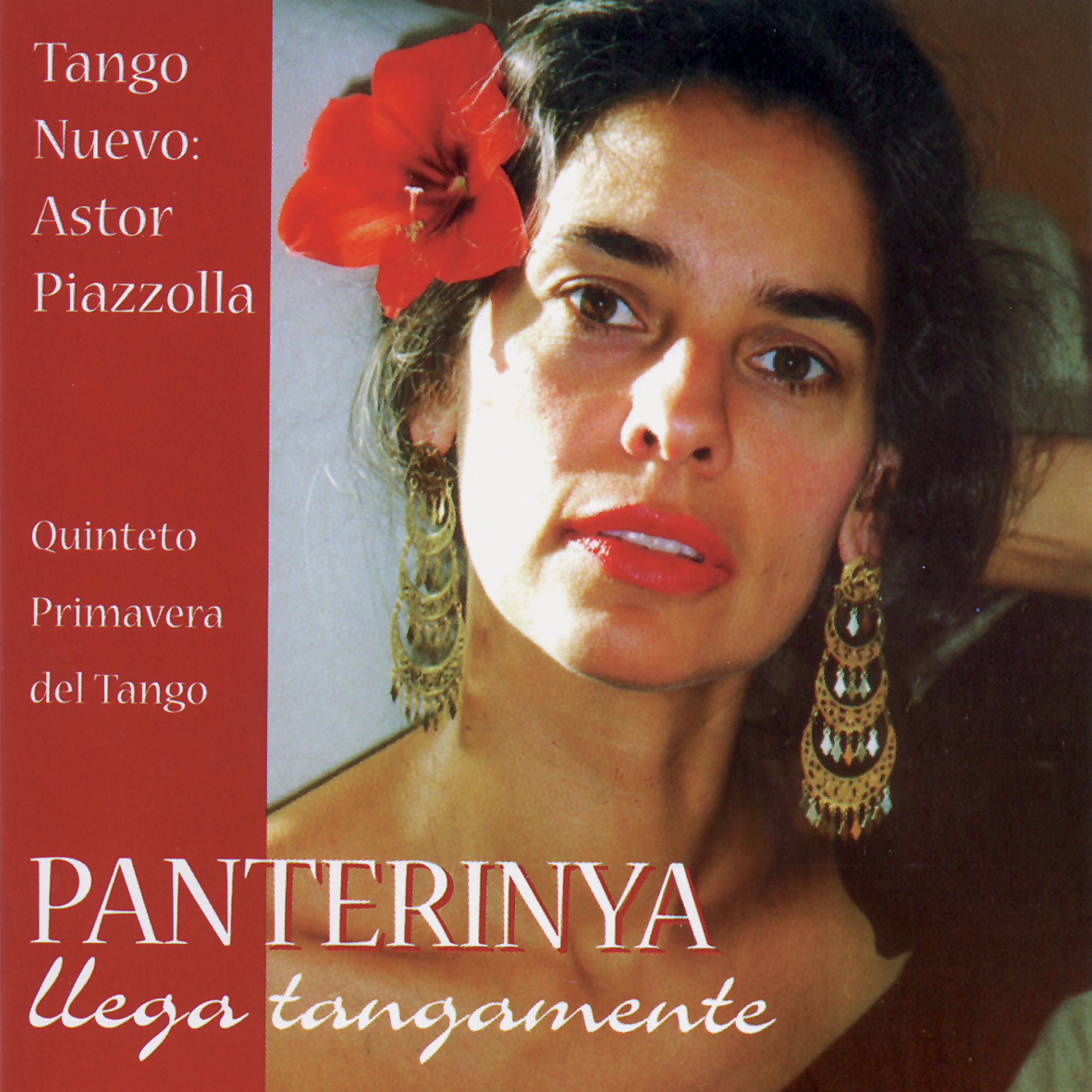 Постер альбома Llega Tangamente