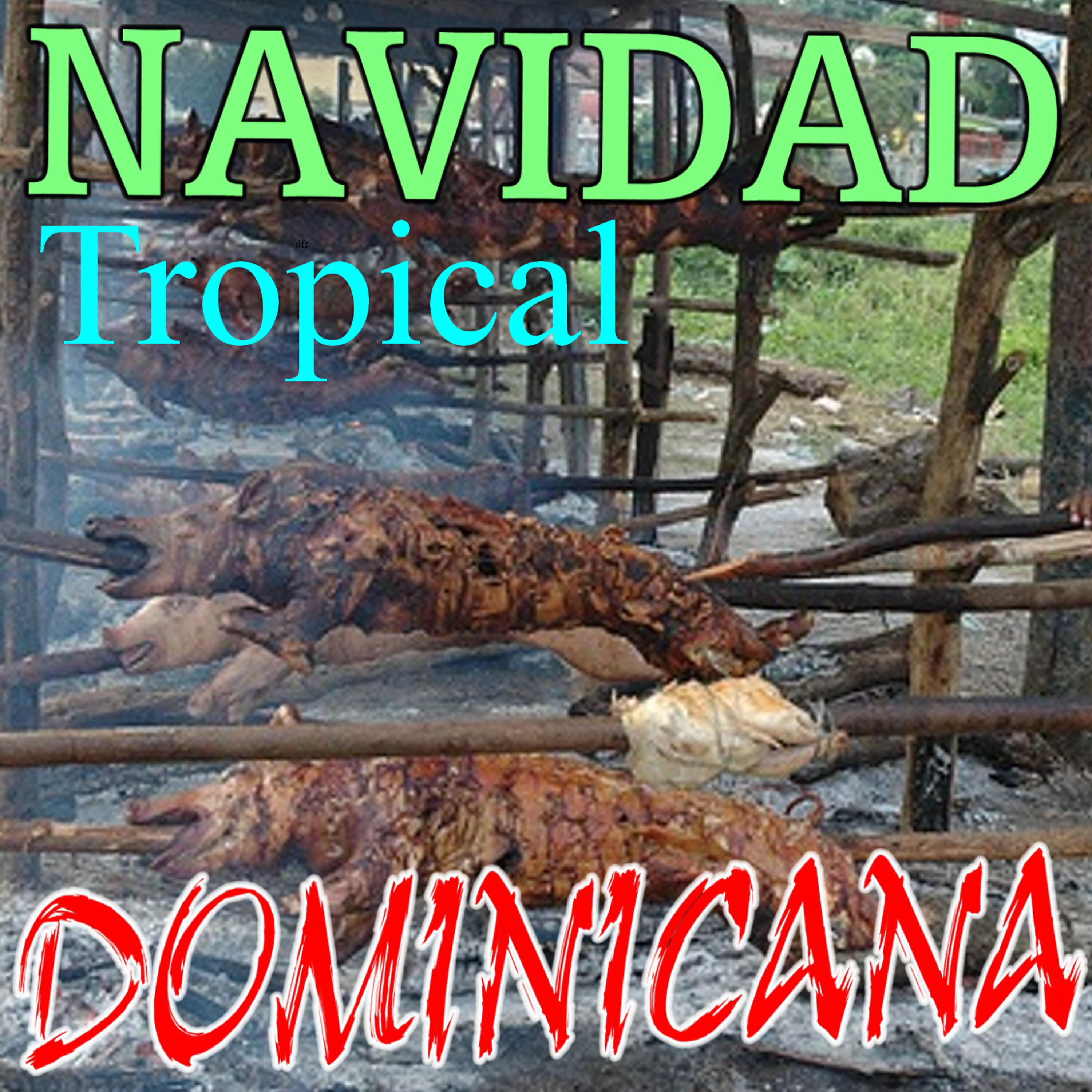 Navidad Tropical Dominicana - Vamos pa la cama  - Merengue