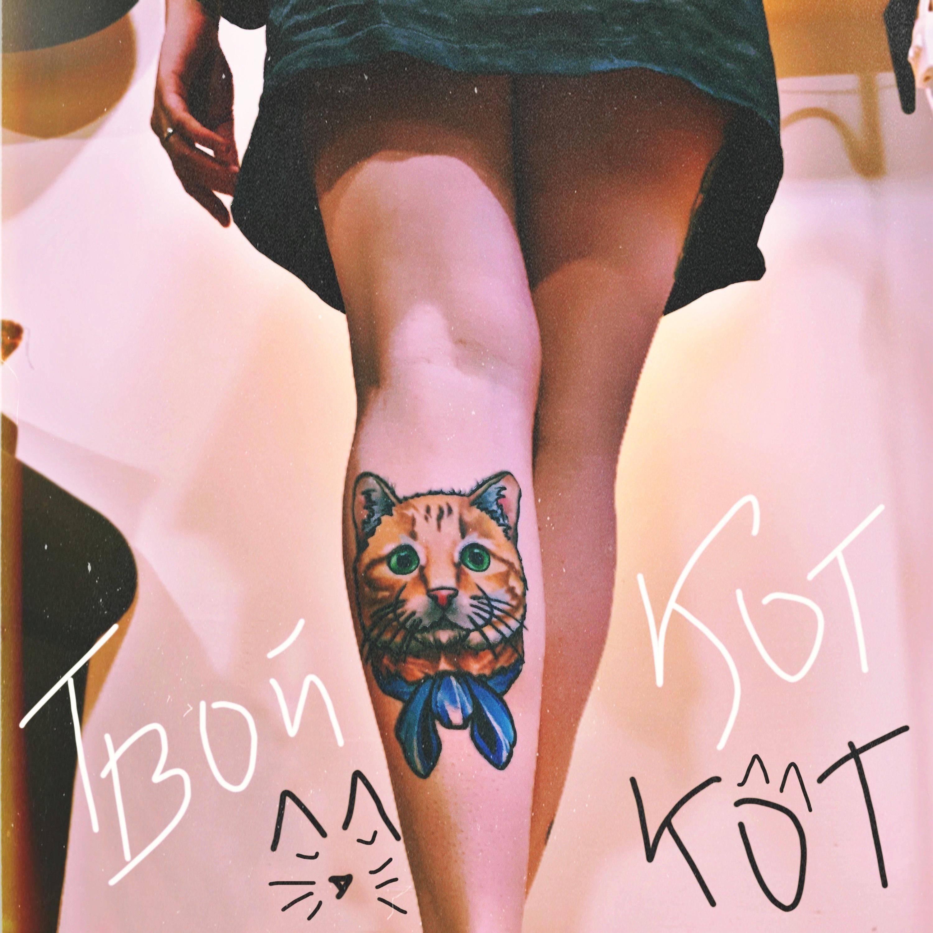 Постер альбома Твой кот