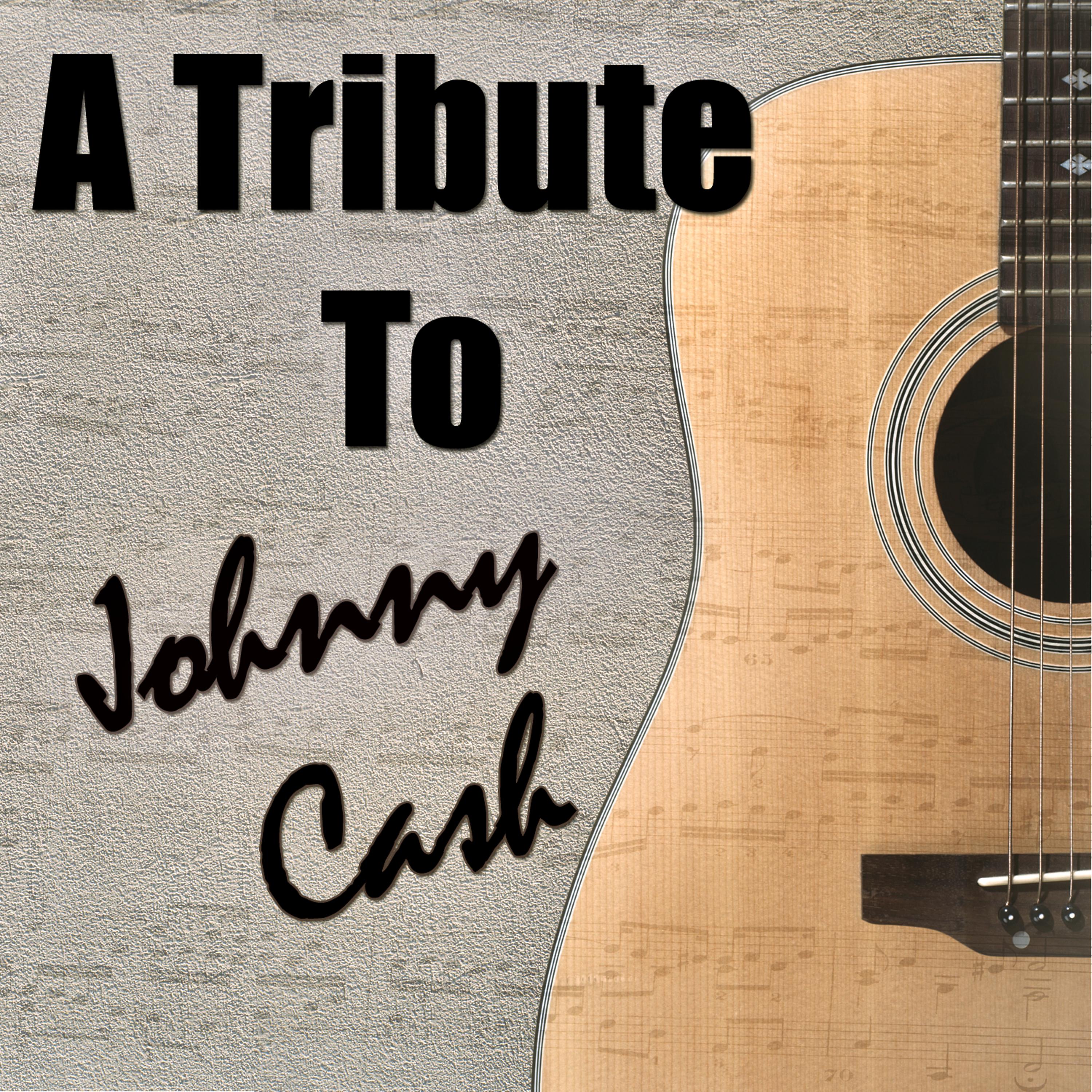 Постер альбома Tribute to Johnny Cash