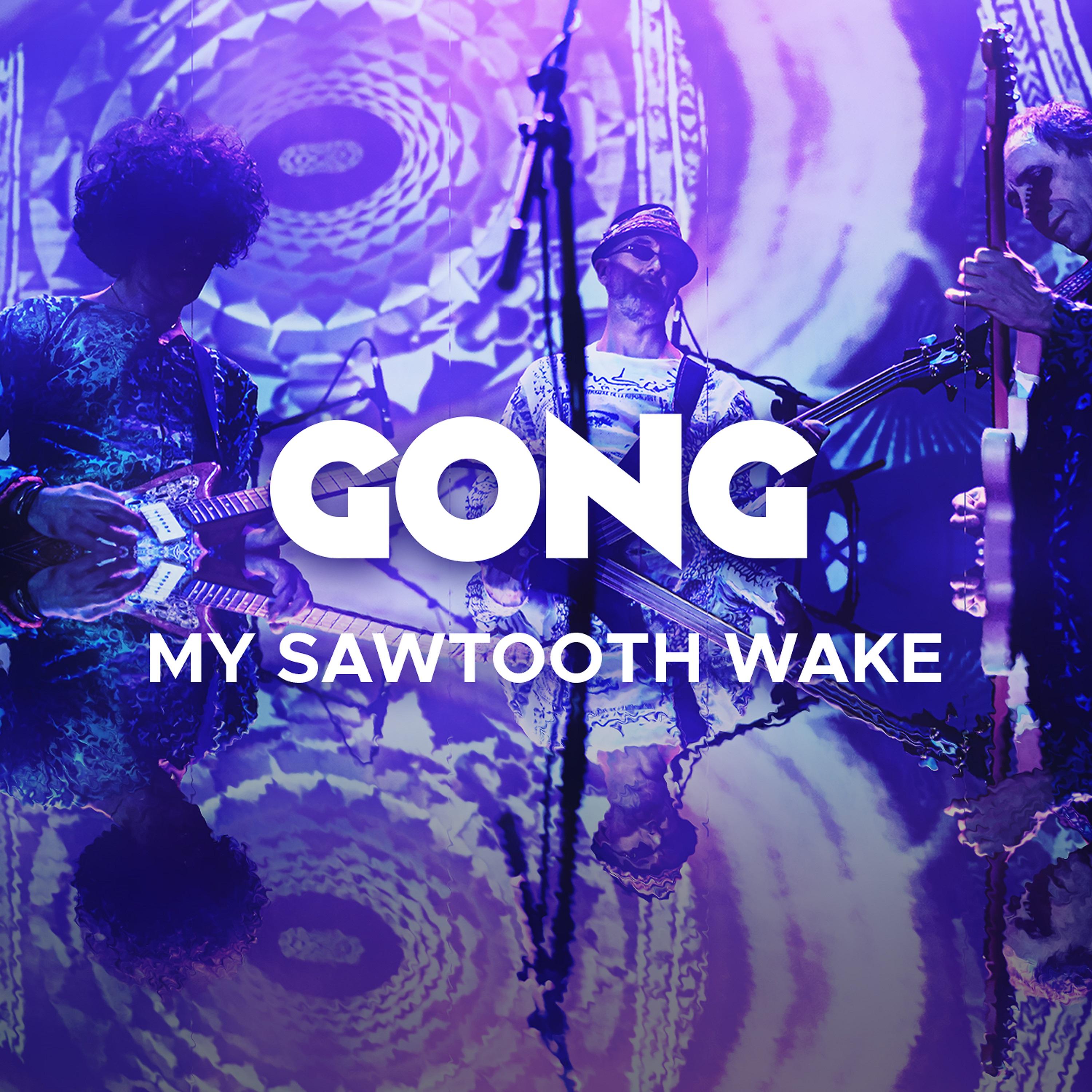 Постер альбома My Sawtooth Wake (Live)