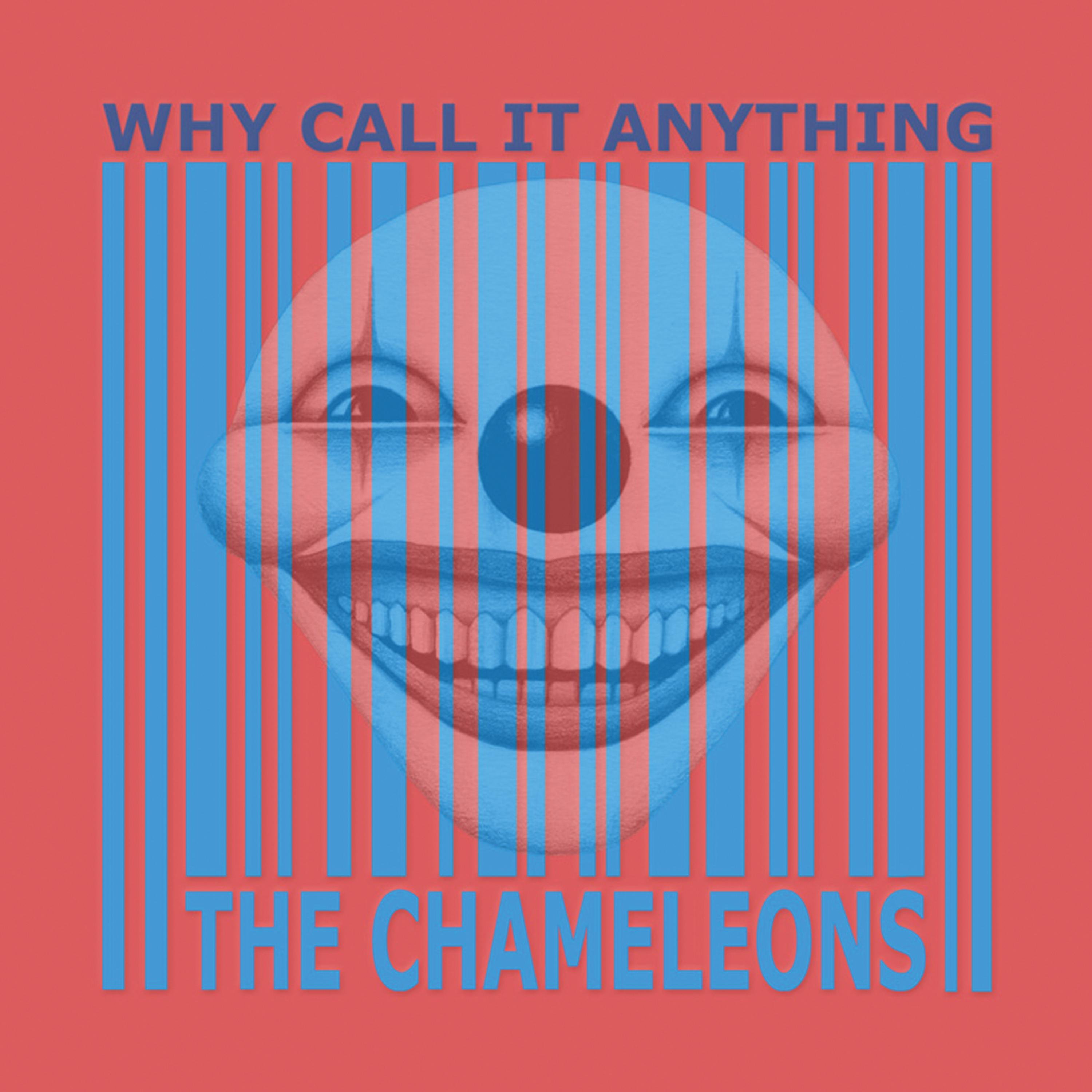 Постер альбома Why Call It Anything