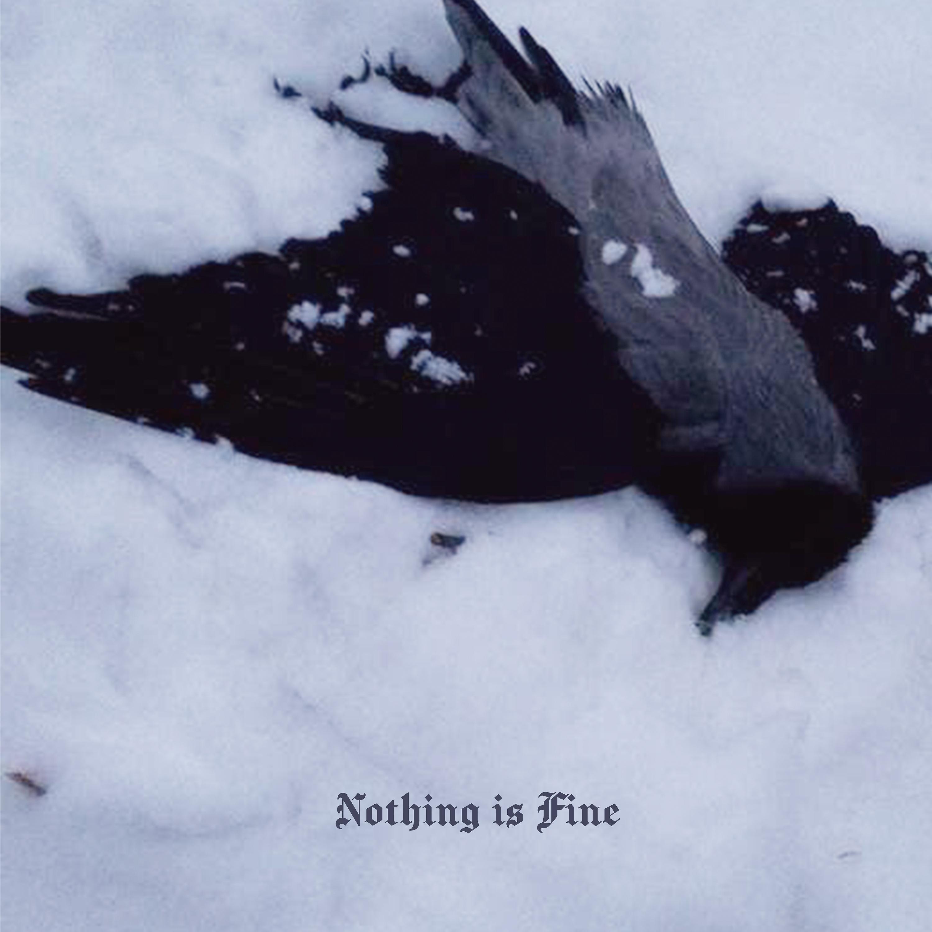 Постер альбома Nothing Is Fine