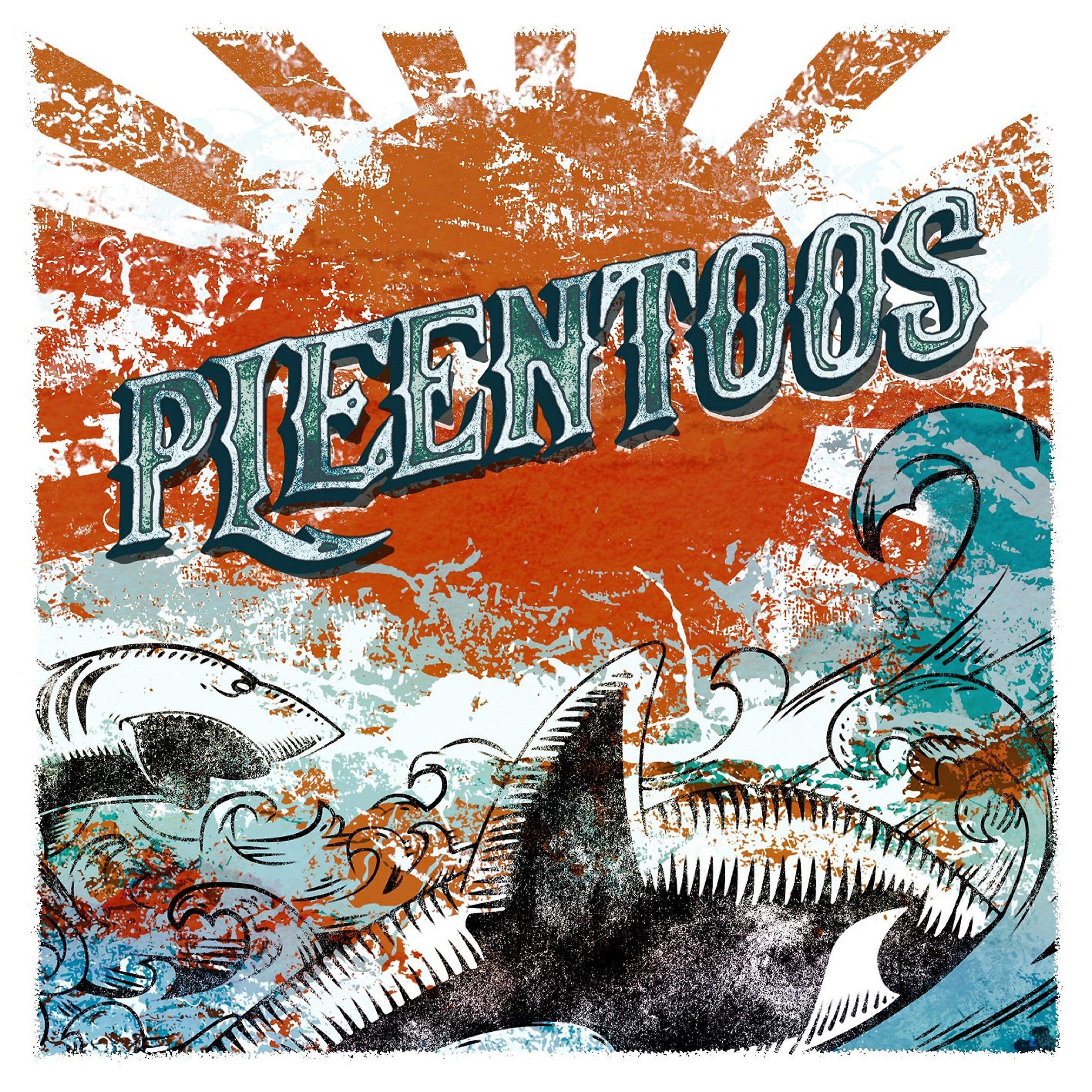 Постер альбома Pleentoos