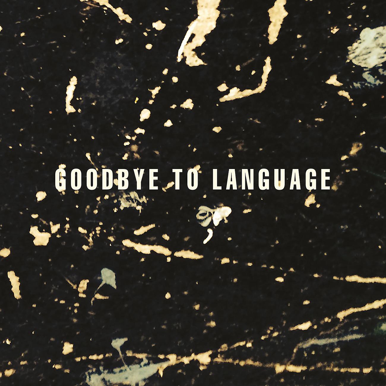 Постер альбома Goodbye To Language