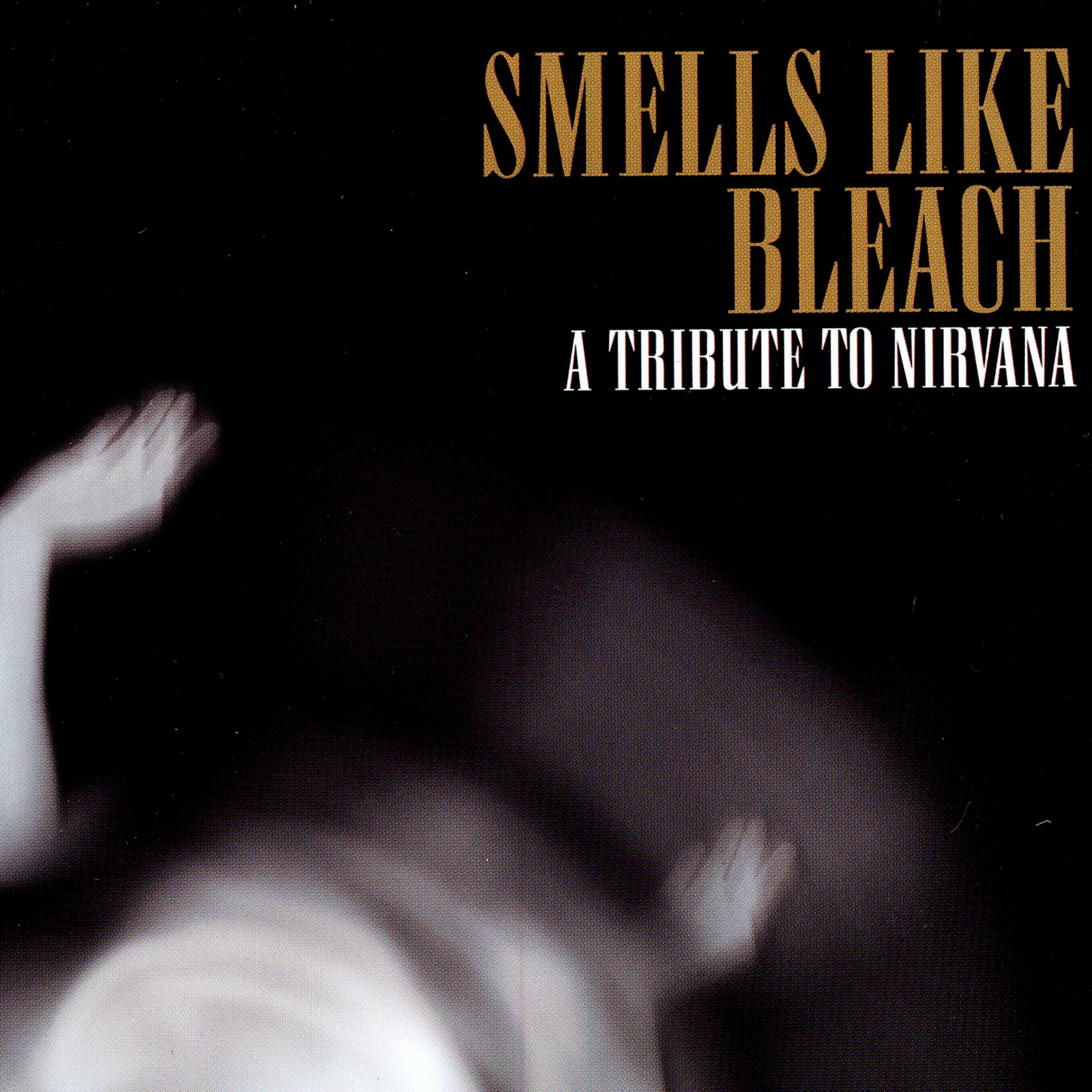 Постер альбома Smells Like Bleach: A Tribute To Nirvana