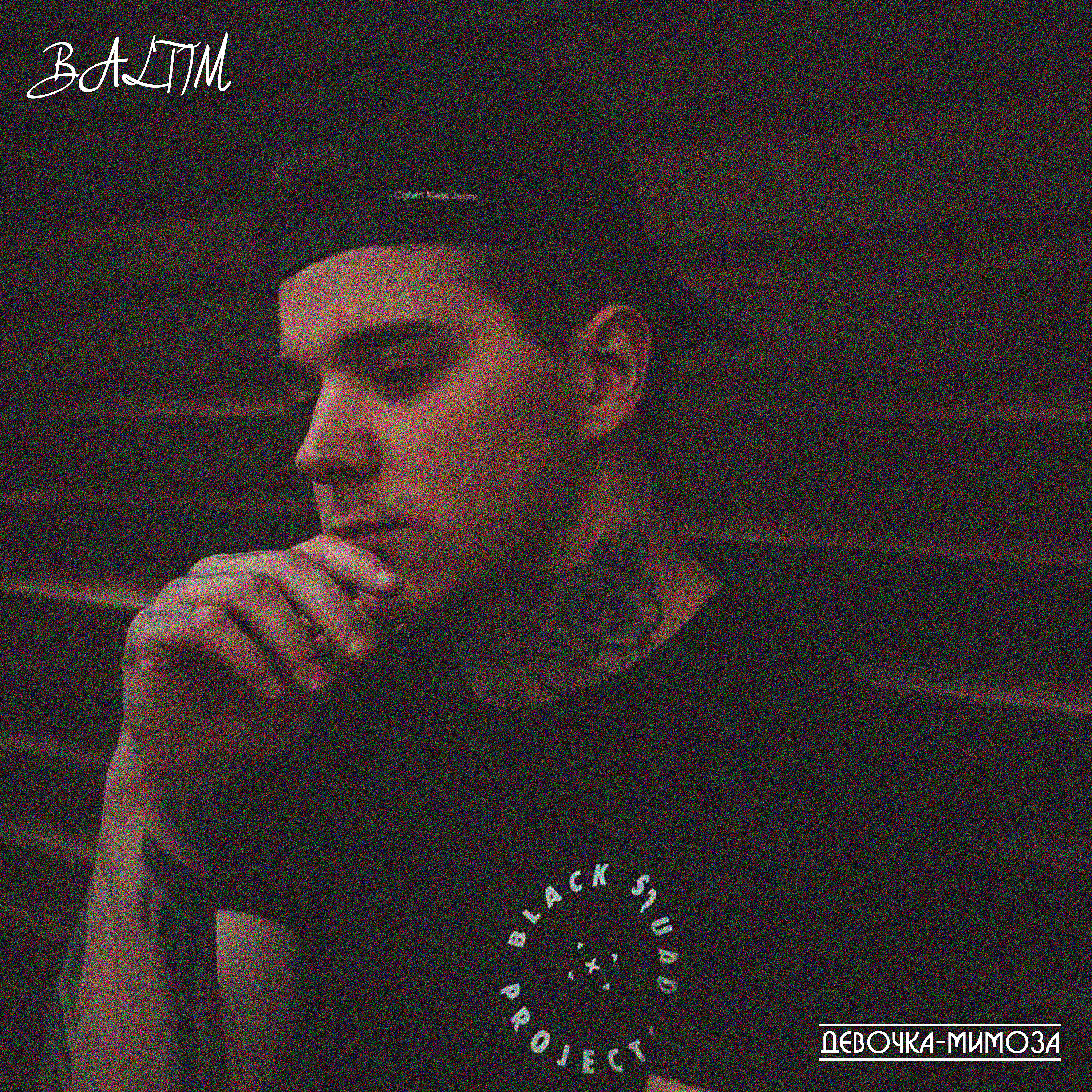 BALTIM - Девочка - мимоза