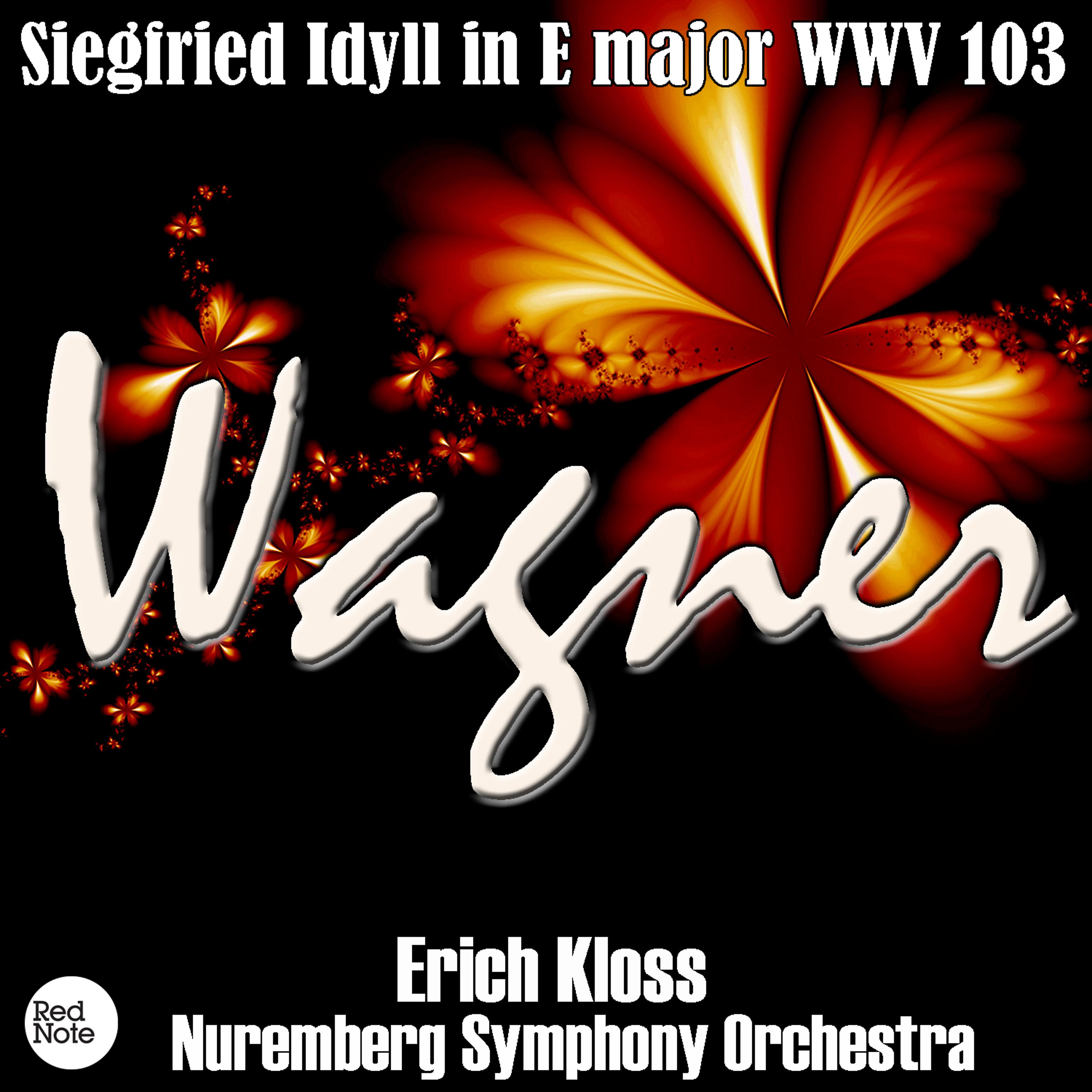 Nuremberg Symphony Orchestra - Siegfried Idyll in E Major, WWV 103