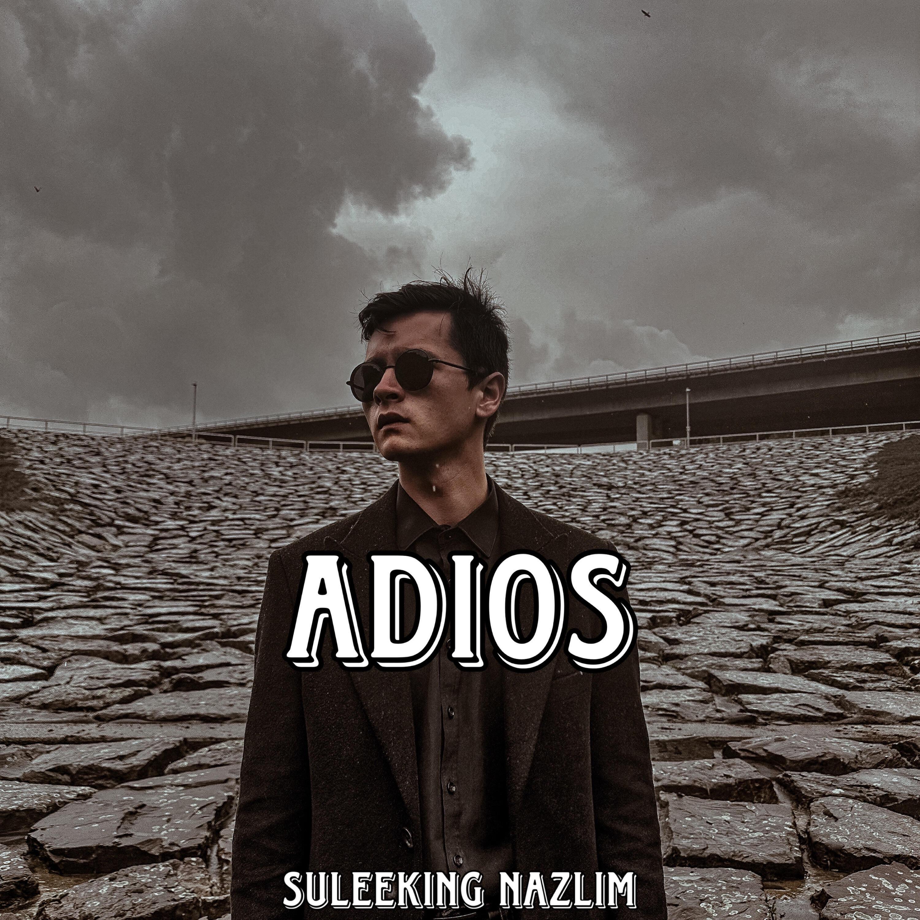 Suleeking Nazlim все песни в mp3