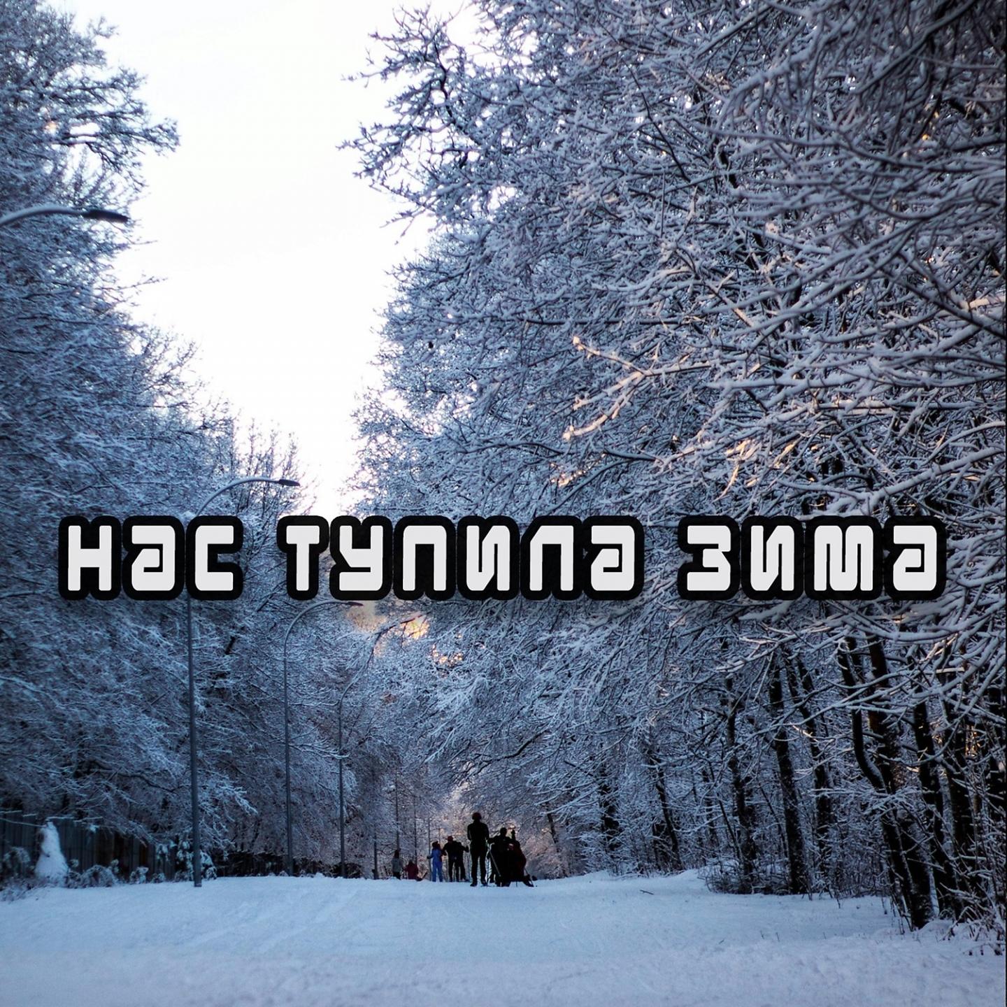 Постер альбома Нас тупила зима