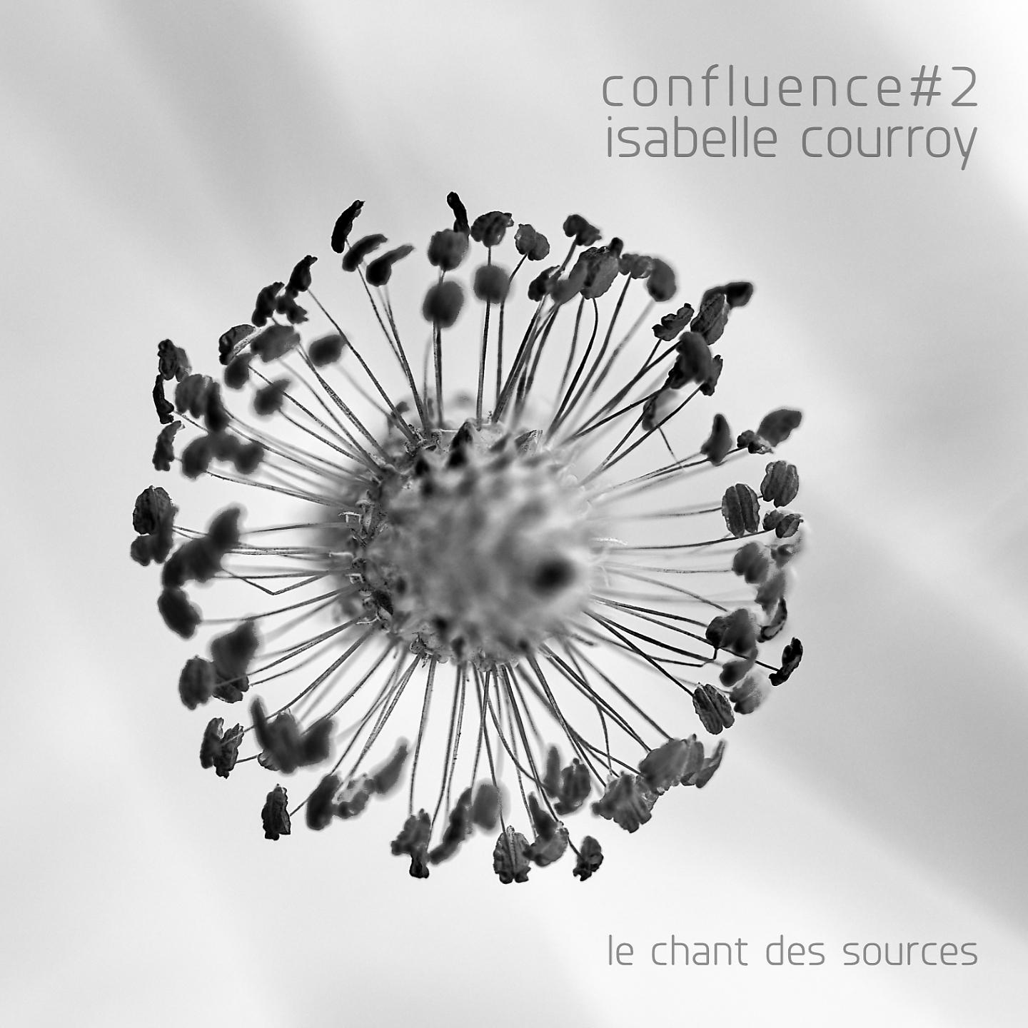Постер альбома Confluence 2