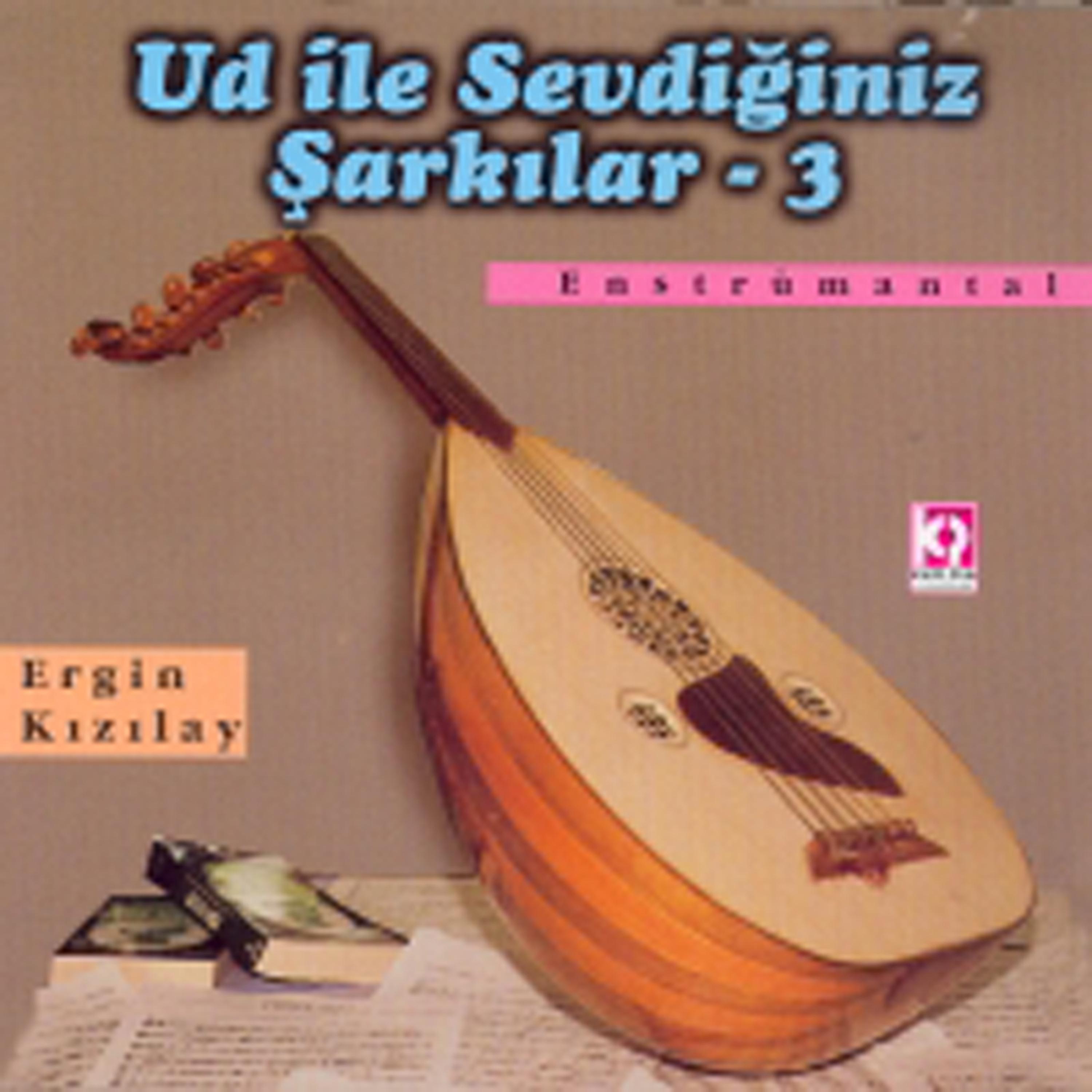 Постер альбома Ud İle Sevdiğiniz Şarkılar, Vol.3