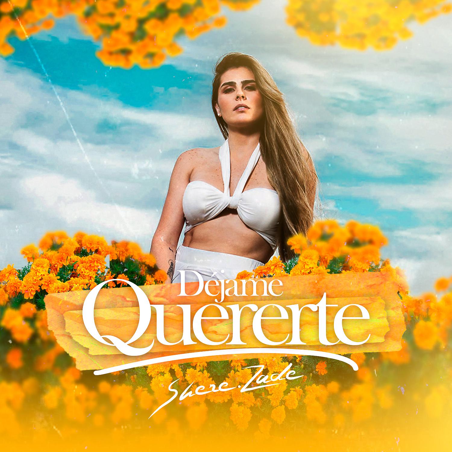 Постер альбома Déjame Quererte