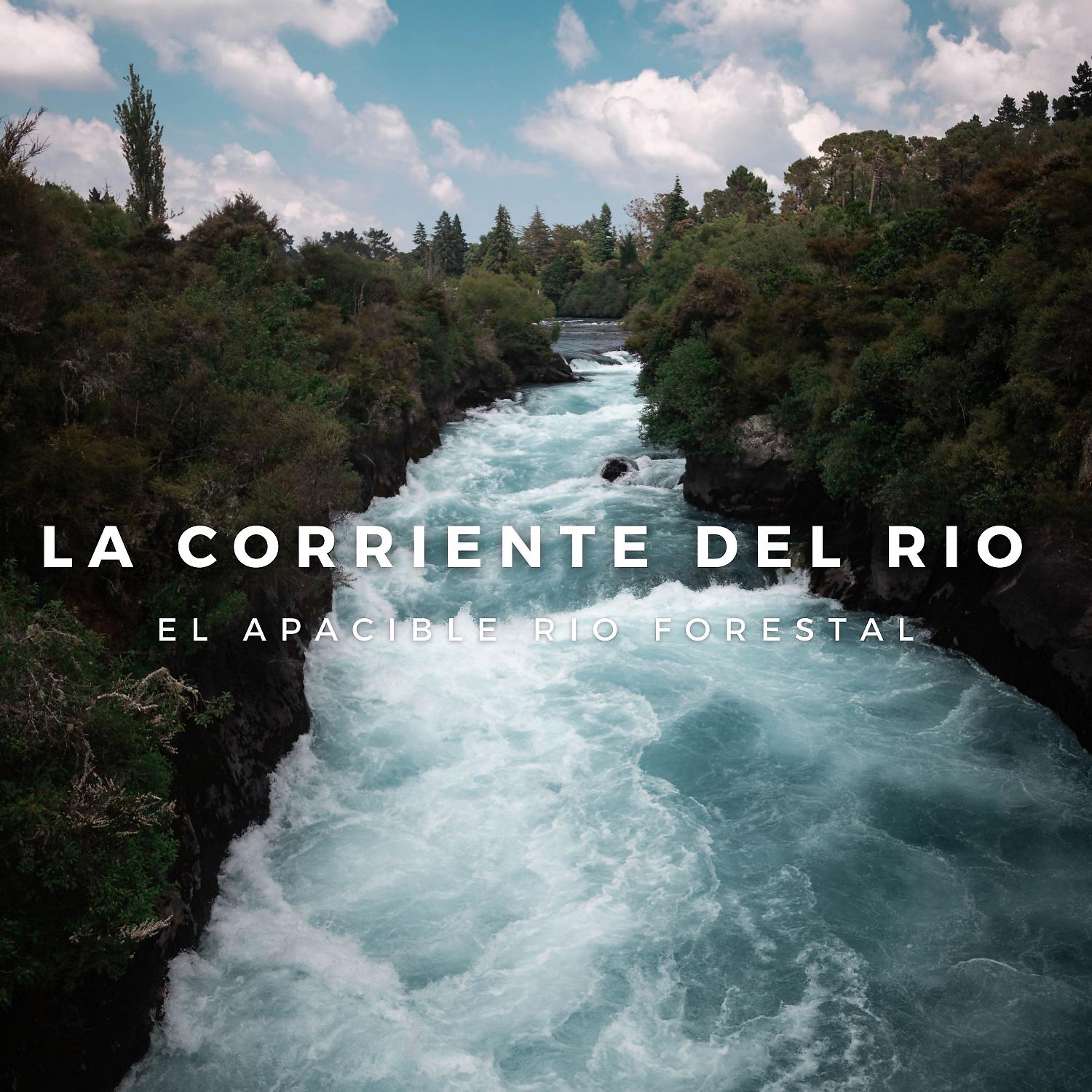 Постер альбома La Corriente Del Rio: El Apacible Rio Forestal