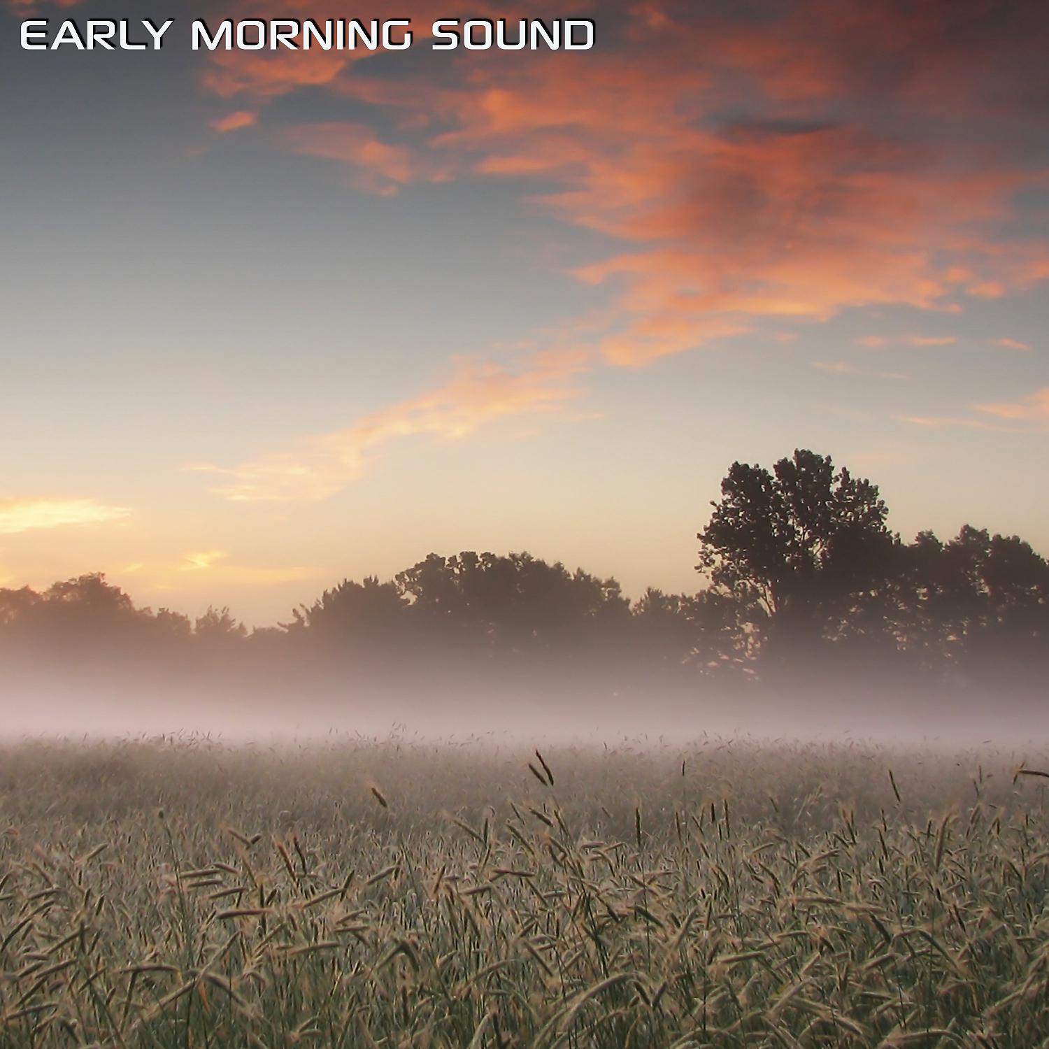 Постер альбома Early Morning Sound (feat. White Noise of the Wind, White Noise Sleep Sounds, White Noise Soundscapes & Discovery Nature Sound)